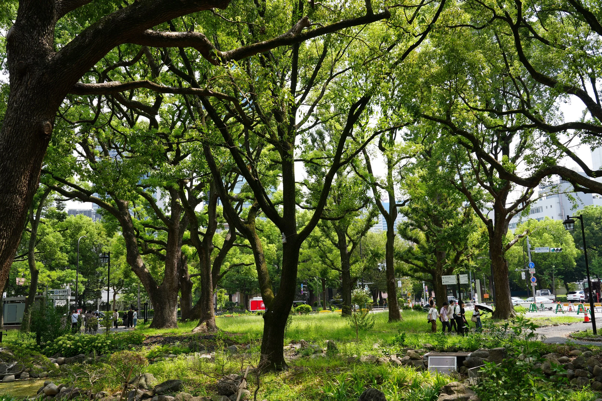 A city park with large green trees and people walking along a pathway.