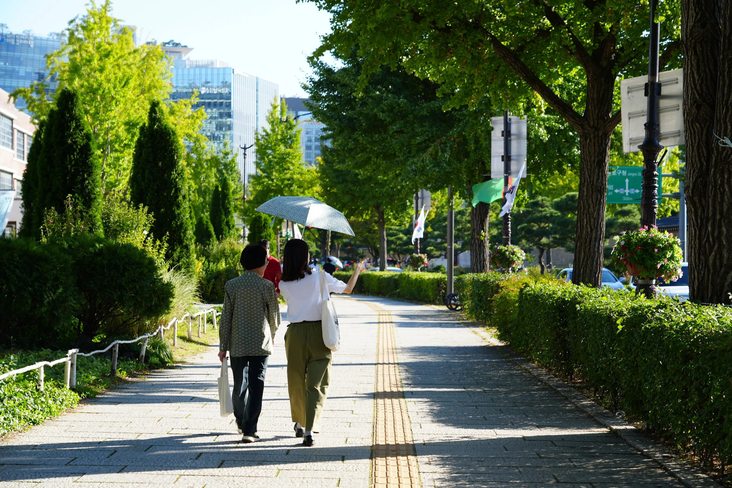 Two women walking on a city sidewalk shaded by large green trees, holding umbrellas, with modern buildings in the background.