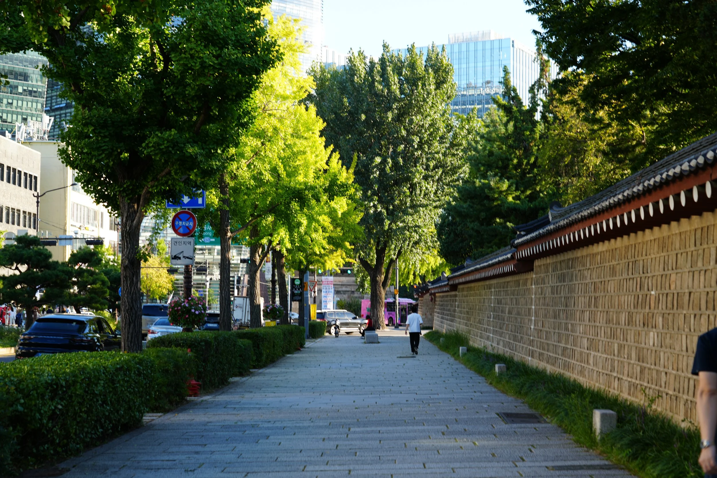 A sidewalk with people walking, lined with green trees on the left and a traditional brick wall on the right, with high-rise buildings in the background.