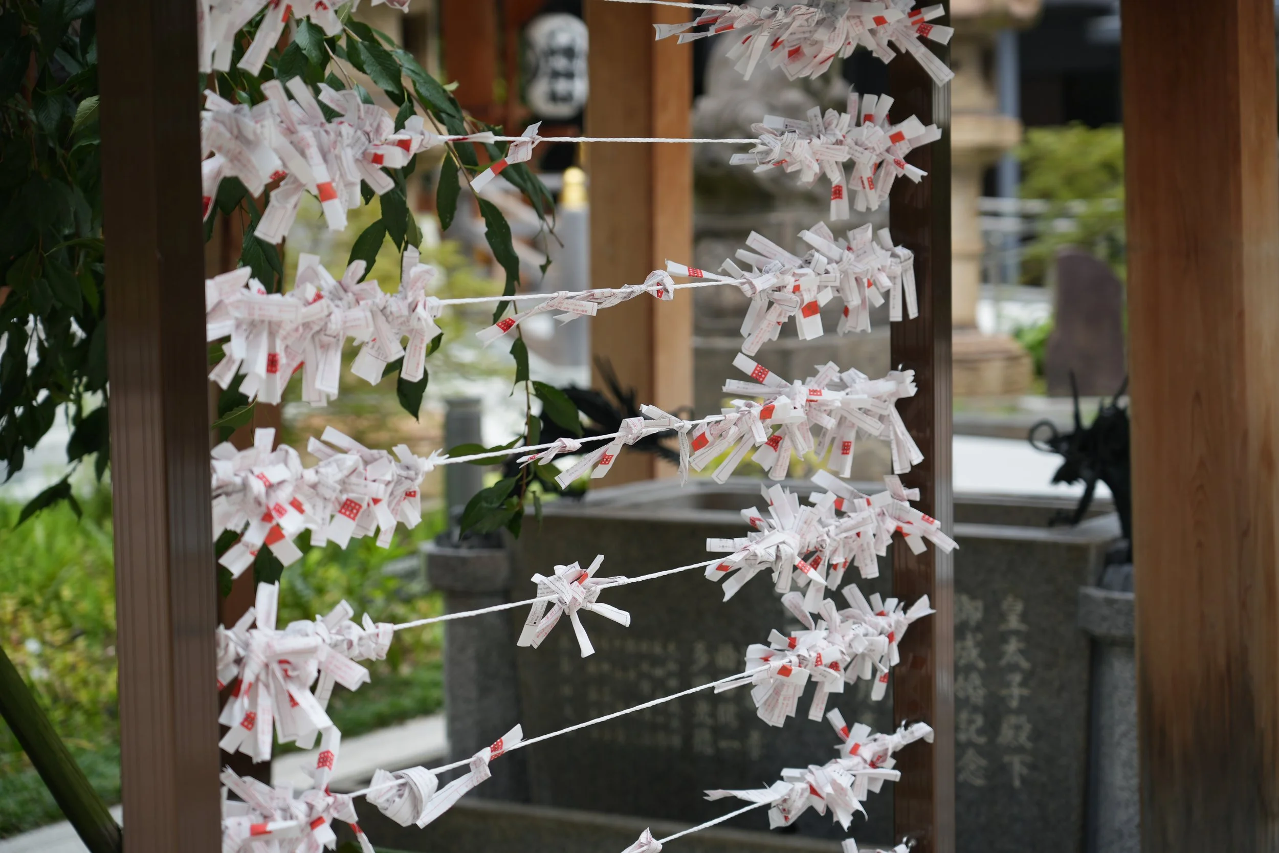 A wooden rack with multiple horizontal strings tied across, each string adorned with numerous tied paper strips, commonly known as omikuji, which are fortune-telling paper strips, in a Japanese setting likely at a shrine or temple.