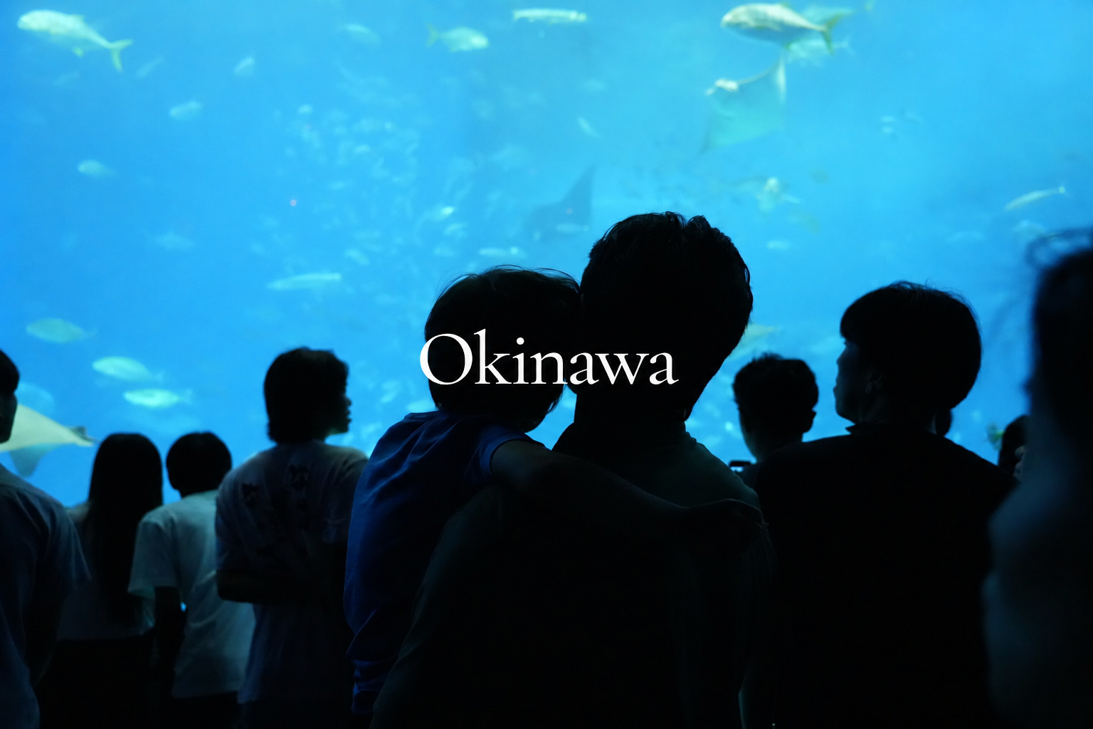 People observing fish in an aquarium tank with sharks swimming in the background, in Okinawa.