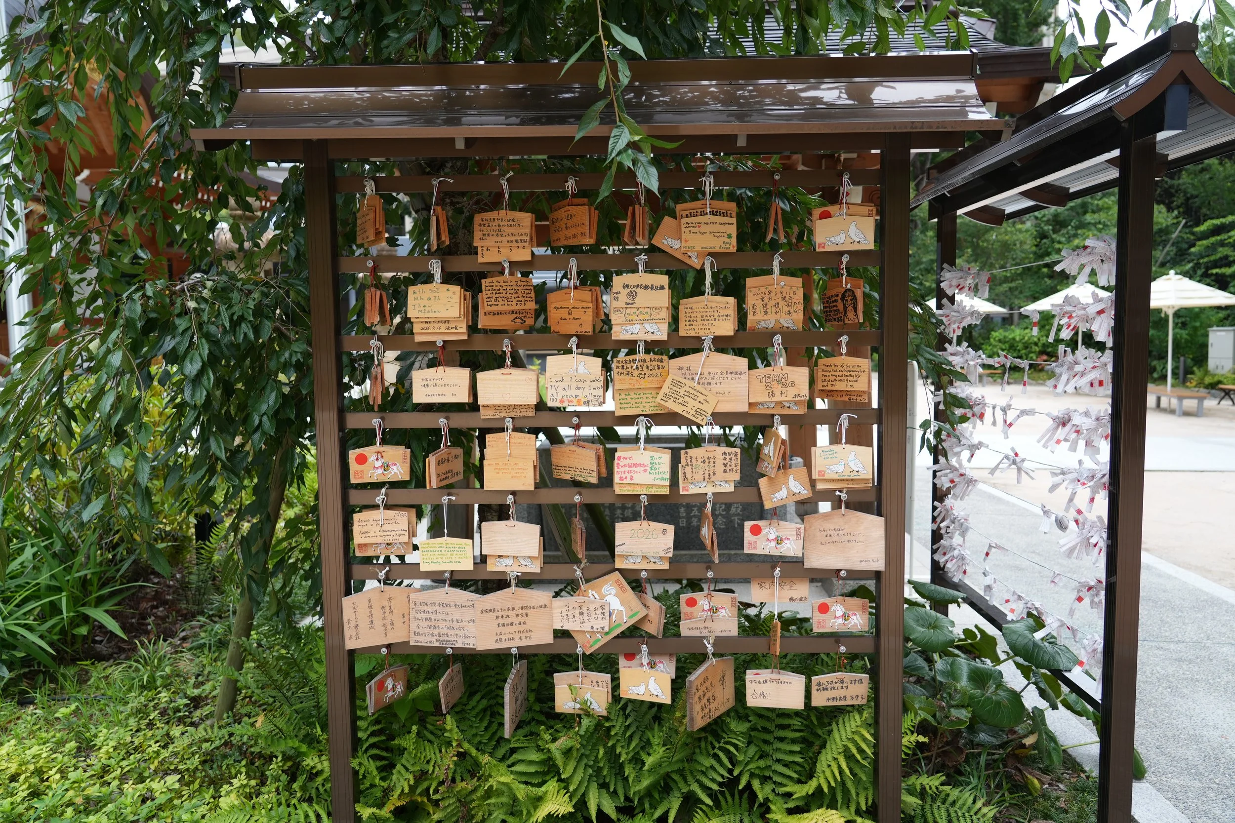 Wooden prayer or wish plaques hanging on a wooden frame, with some written in different languages and illustrations, surrounded by green foliage outdoors.