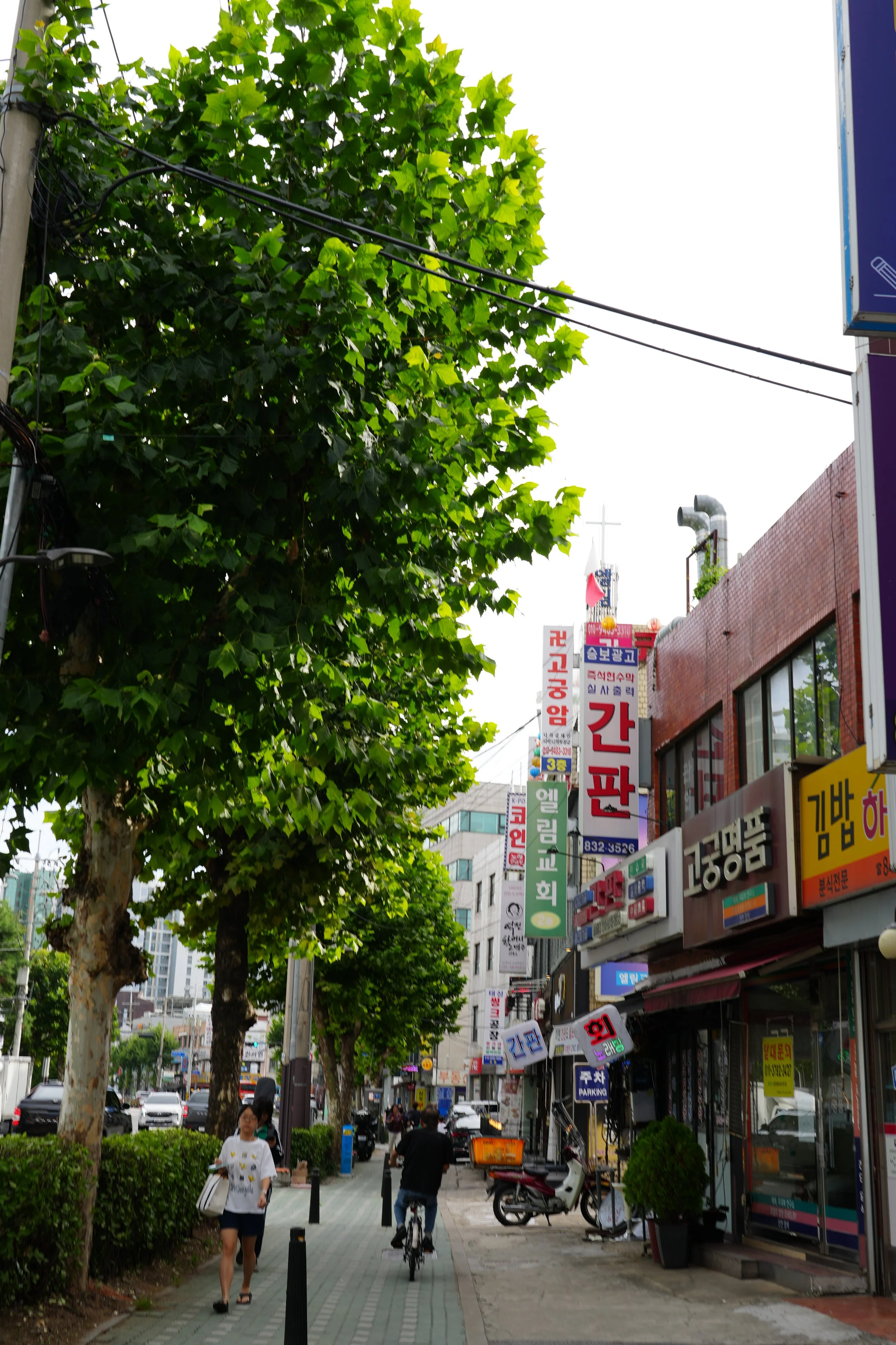 Busy city street with pedestrians, bicycles, motorcycles, and cars, lined with commercial buildings and numerous colorful signs written in Korean, surrounded by green trees with a cloudy sky overhead.