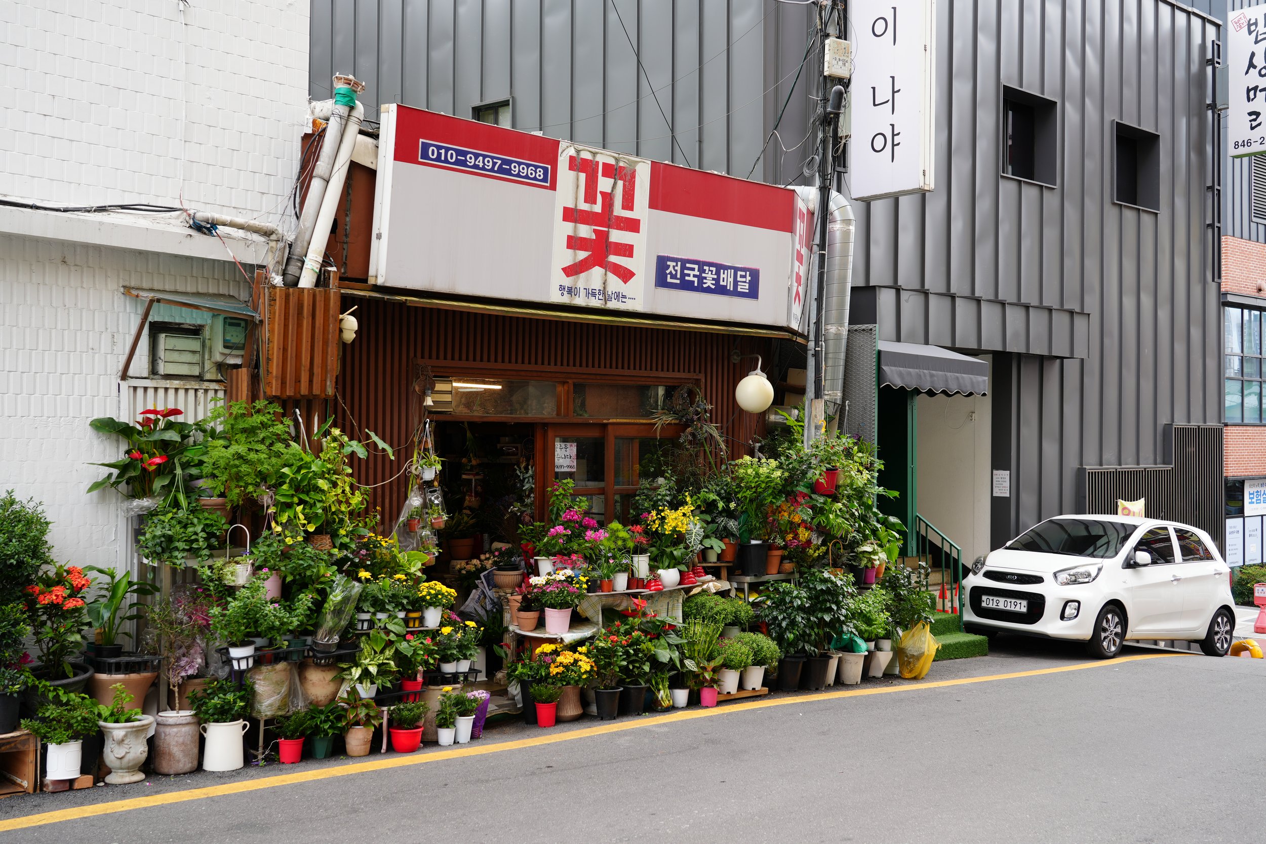A flower shop outside a building with potted plants and flowers on display, and a white car parked in front.