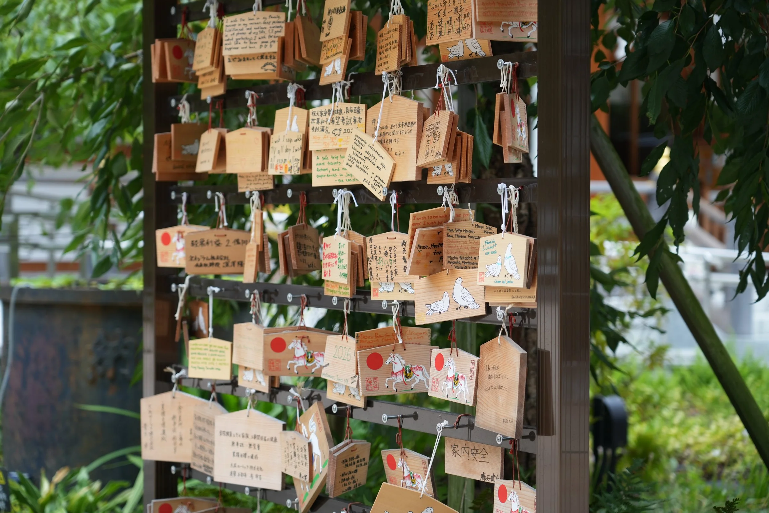 A wooden display stand with numerous wooden prayer plaques hanging from strings. The plaques have various writings and illustrations, including images of white horses and pigeons. The background features green foliage.