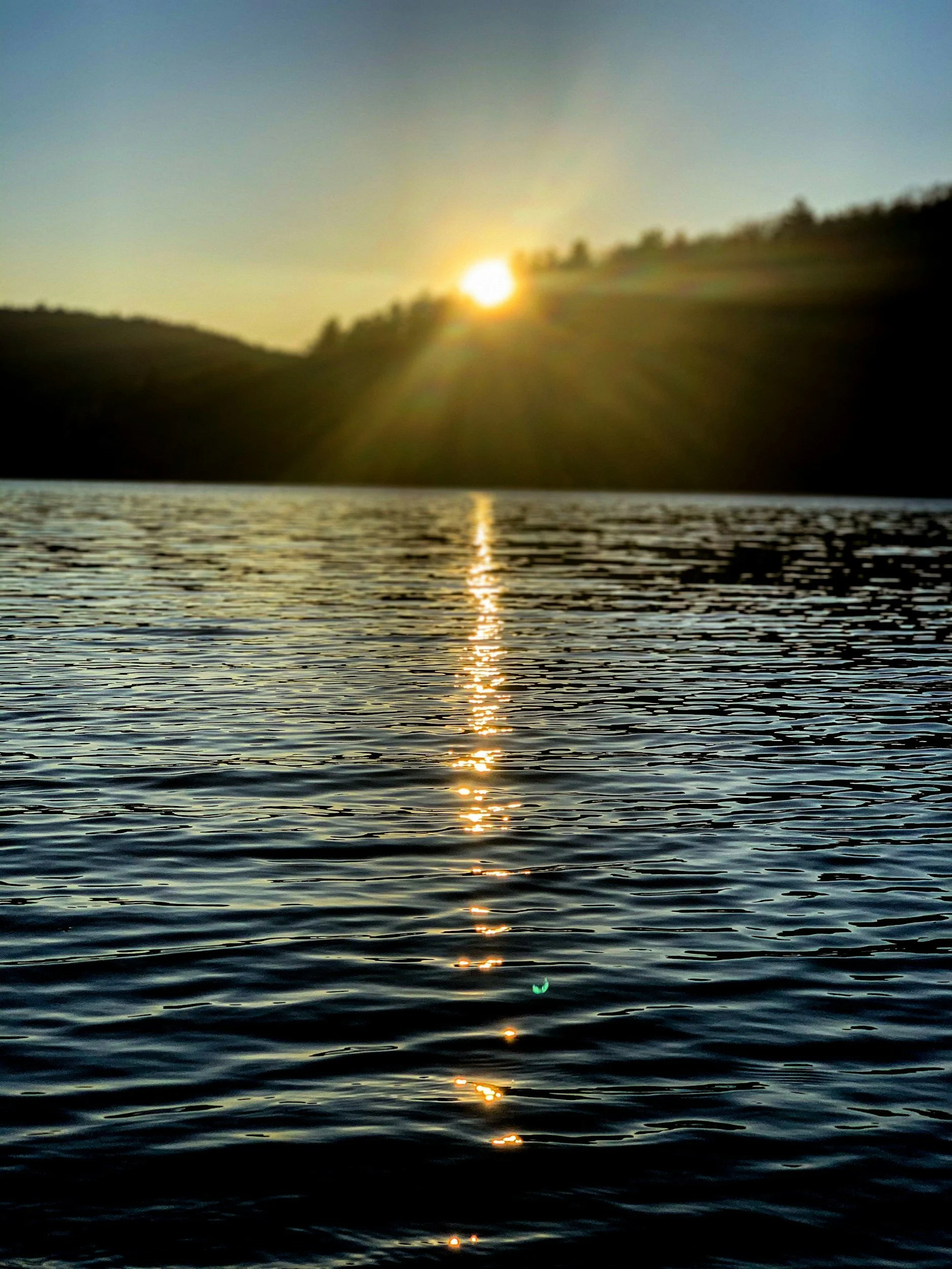 unsplash-image-Ugr2PWQ0Hwg.jpg