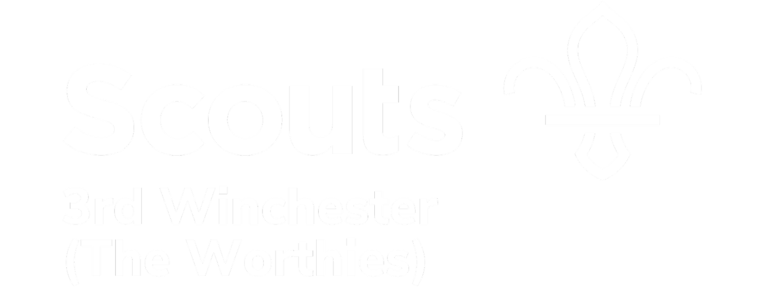 3rd Winchester Scouts