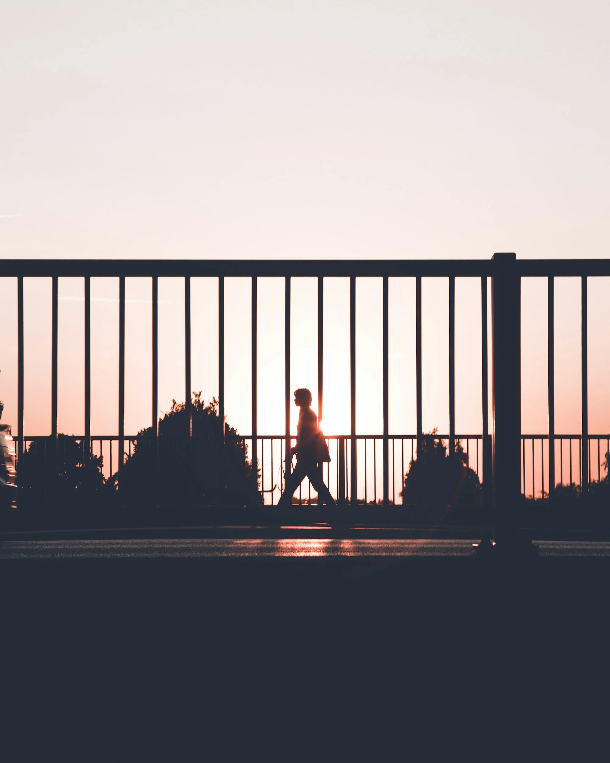 Silhouette of a person walking with a dog behind a tall fence, sunset sky in the background.