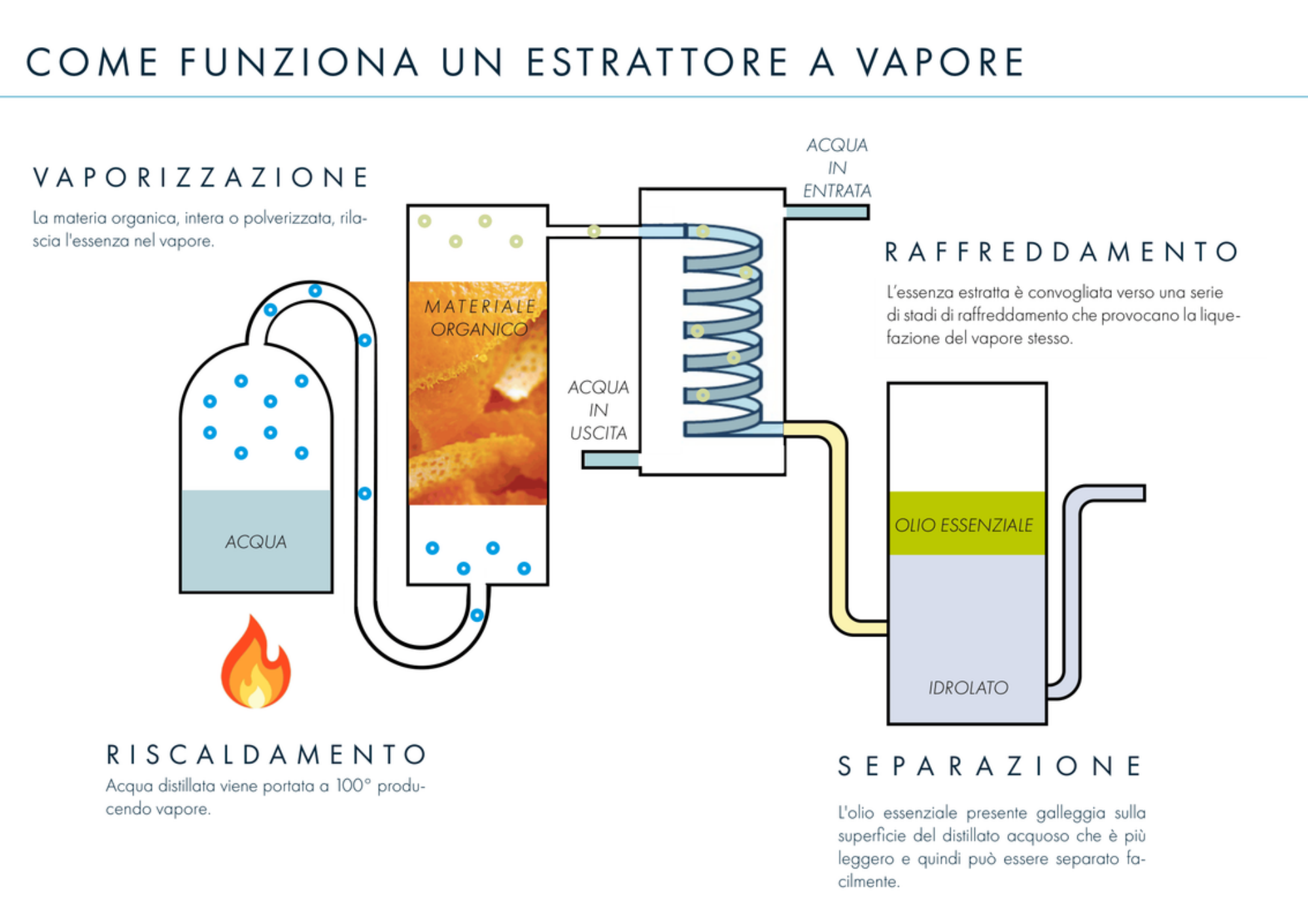 Diagramma che mostra come funziona un estrattore a vapore con sezioni per vaporizzazione, riscaldamento, raffreddamento e separazione, con testo esplicativo in italiano.