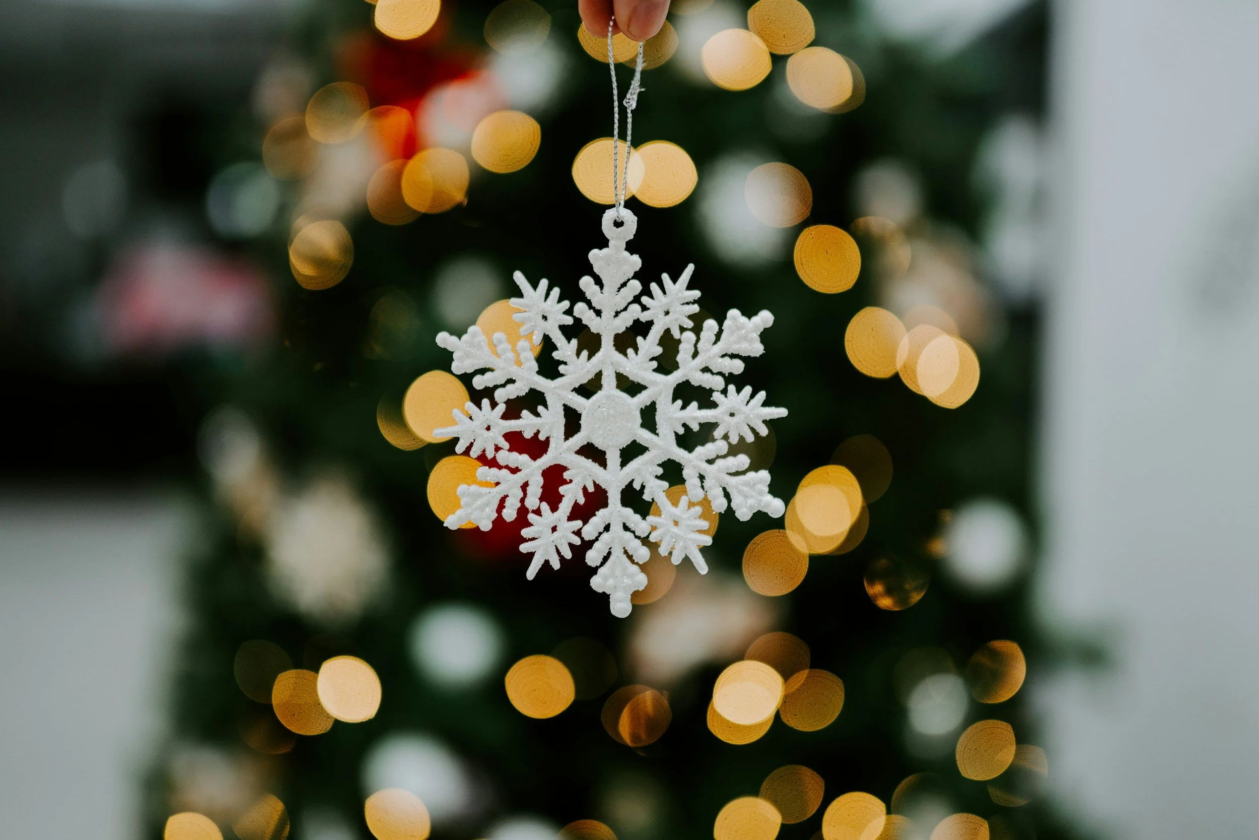 Holiday Craft Fair and Book Fair Night