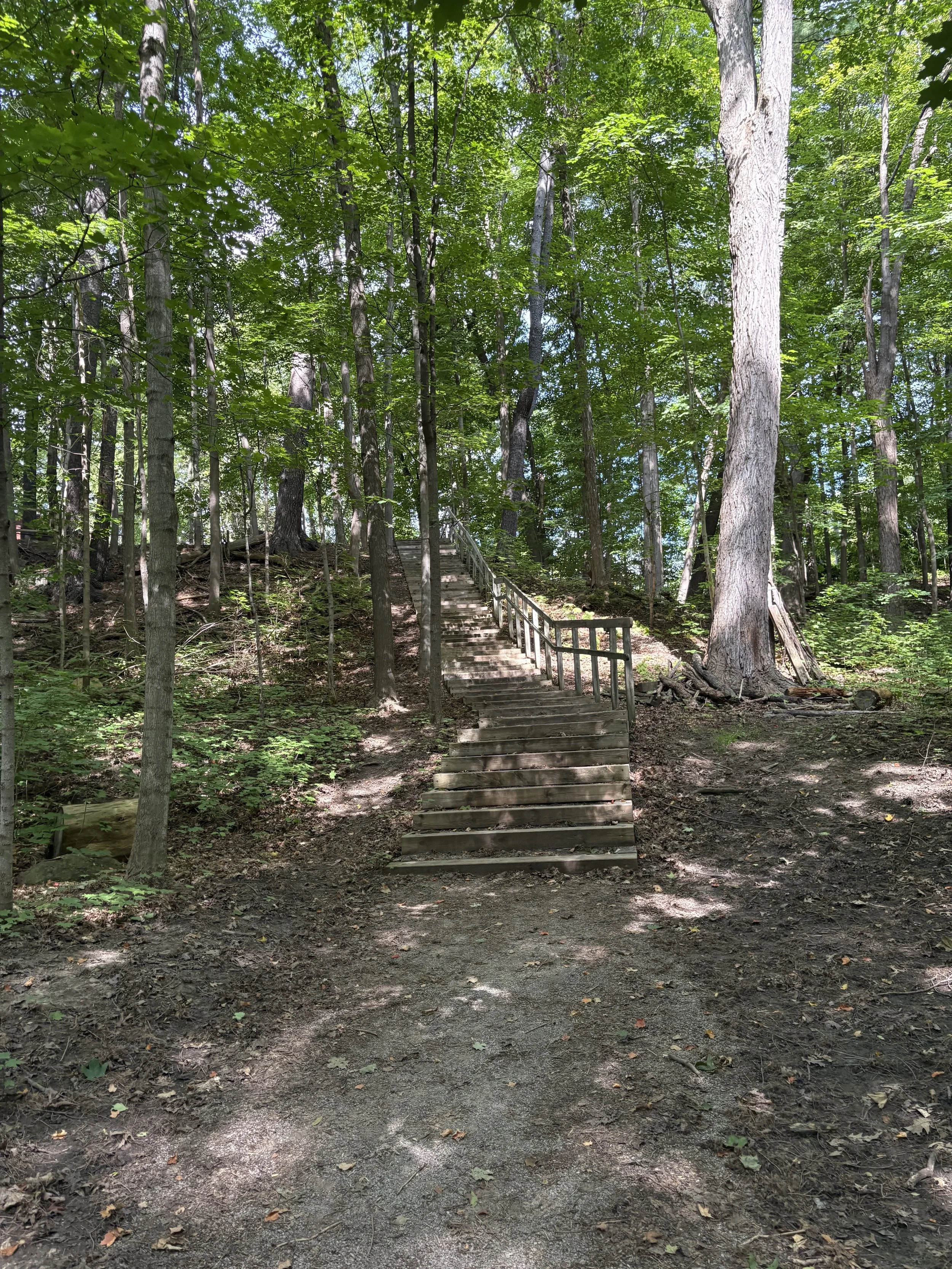 An image of a wooden staircase in a forest