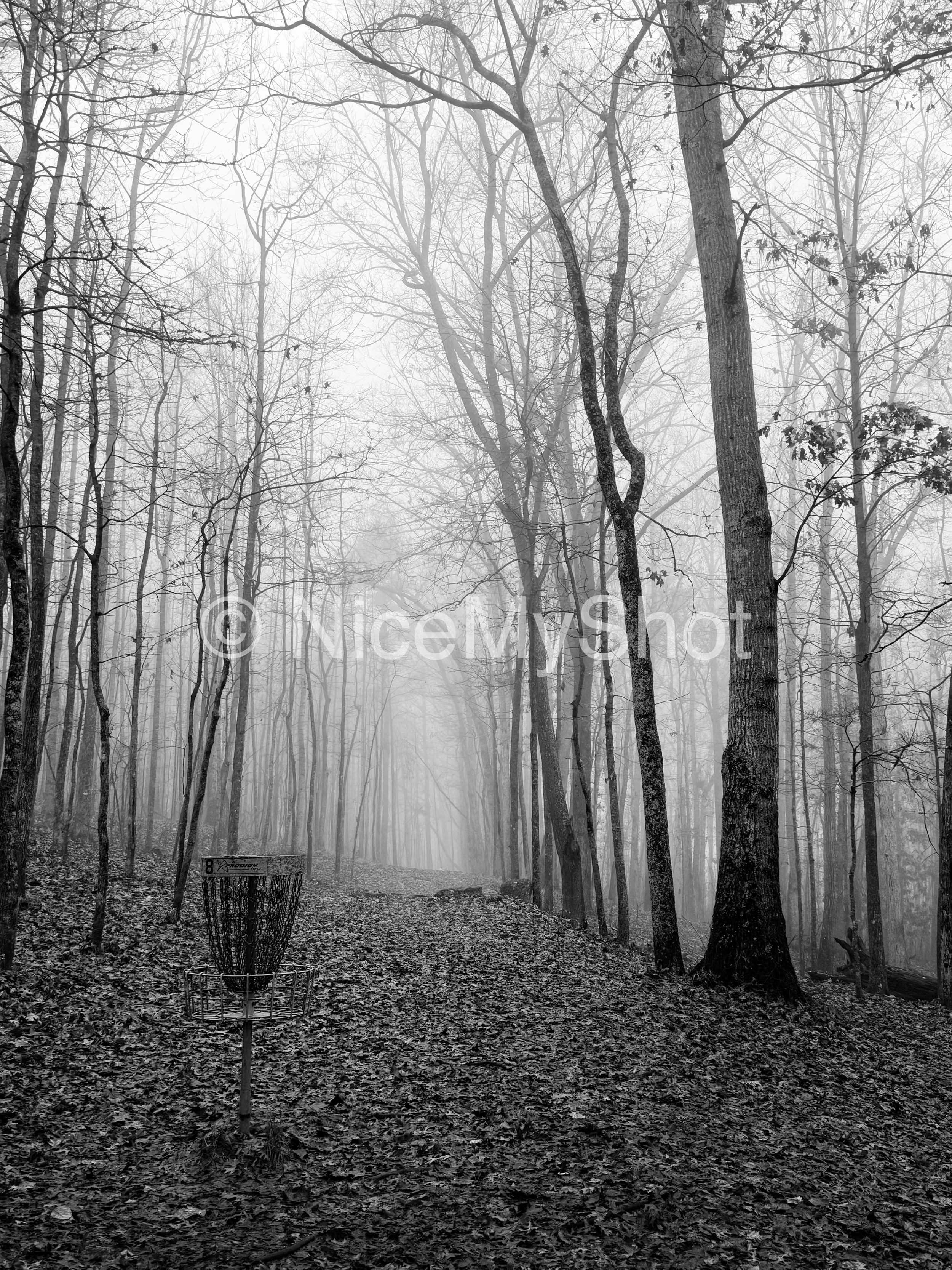 Shrouded Sequoyah