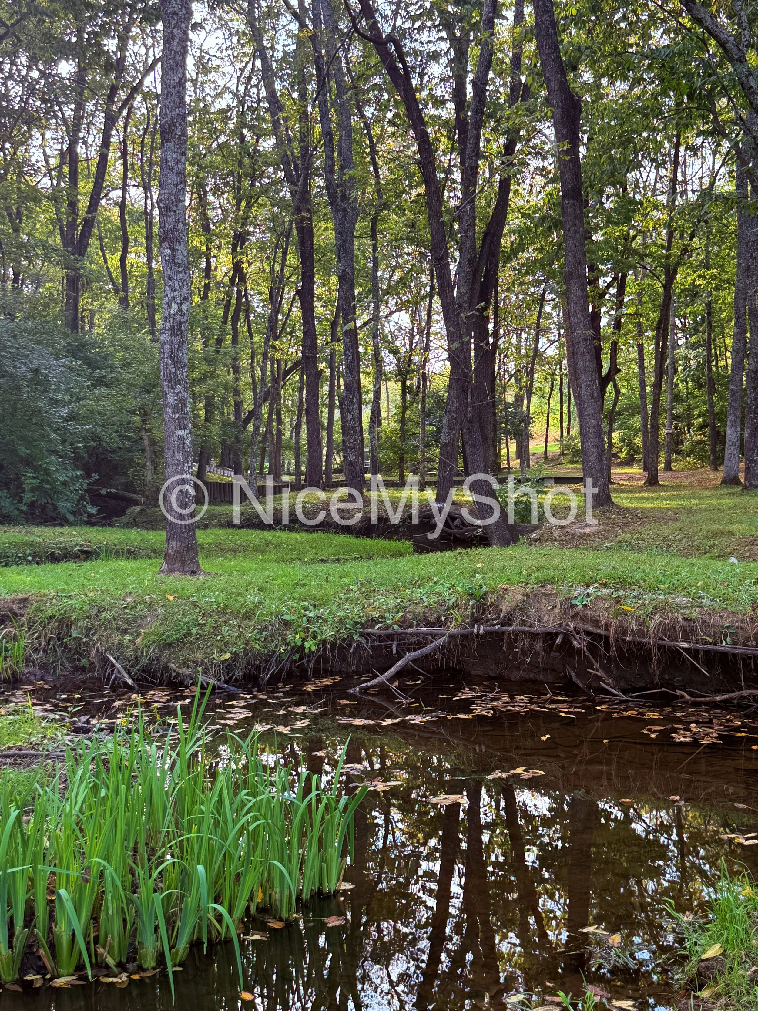 Idlewild Hole 6