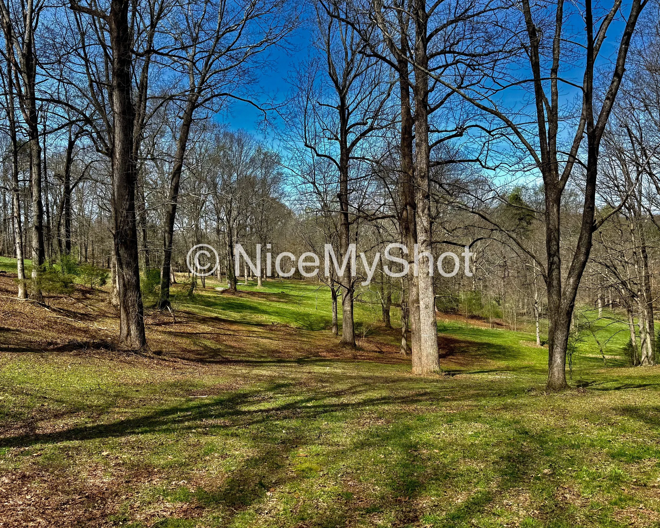 IMG_5521.jpg