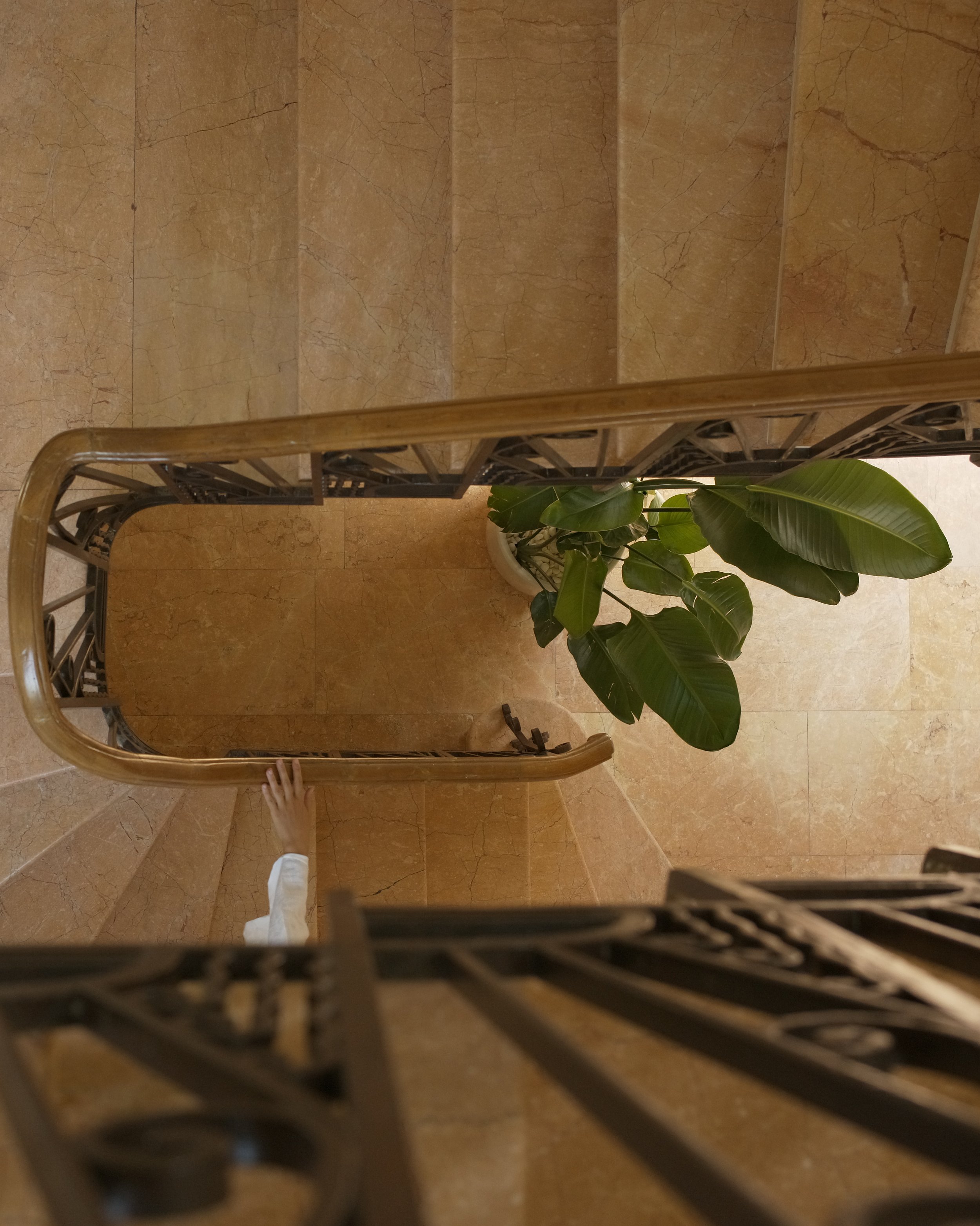 View from above of brown marble stairs with a green potted plant at the bottom and a human hand with a white sleeve visible in the corner.