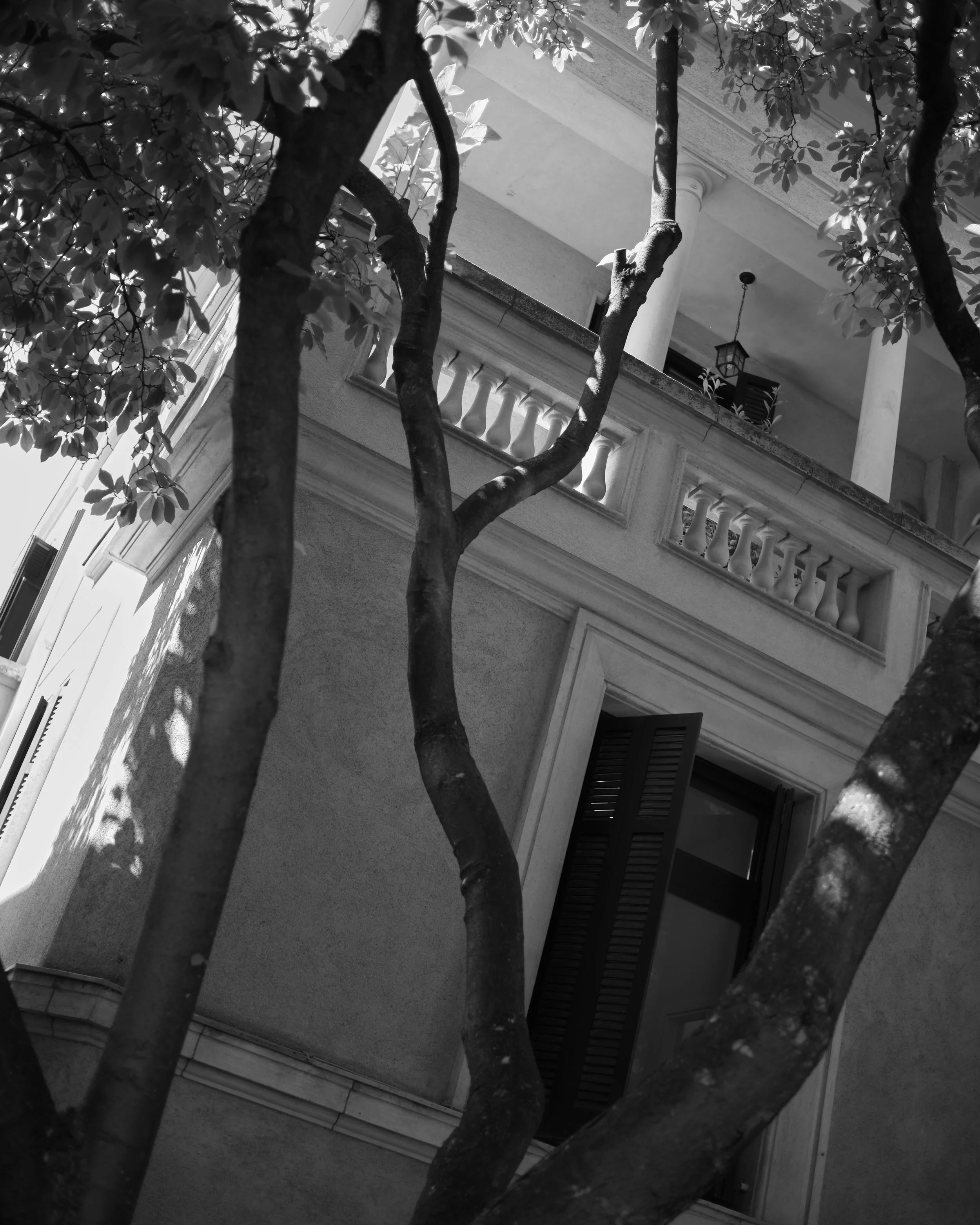 Black and white photo of a house's balcony with ornate balustrades, columns, a hanging lantern, and trees with leaves partially obscuring the view.