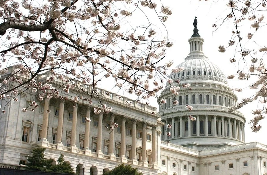 ACTION ALERT: Directly Advocate for Humanist Values in 2026