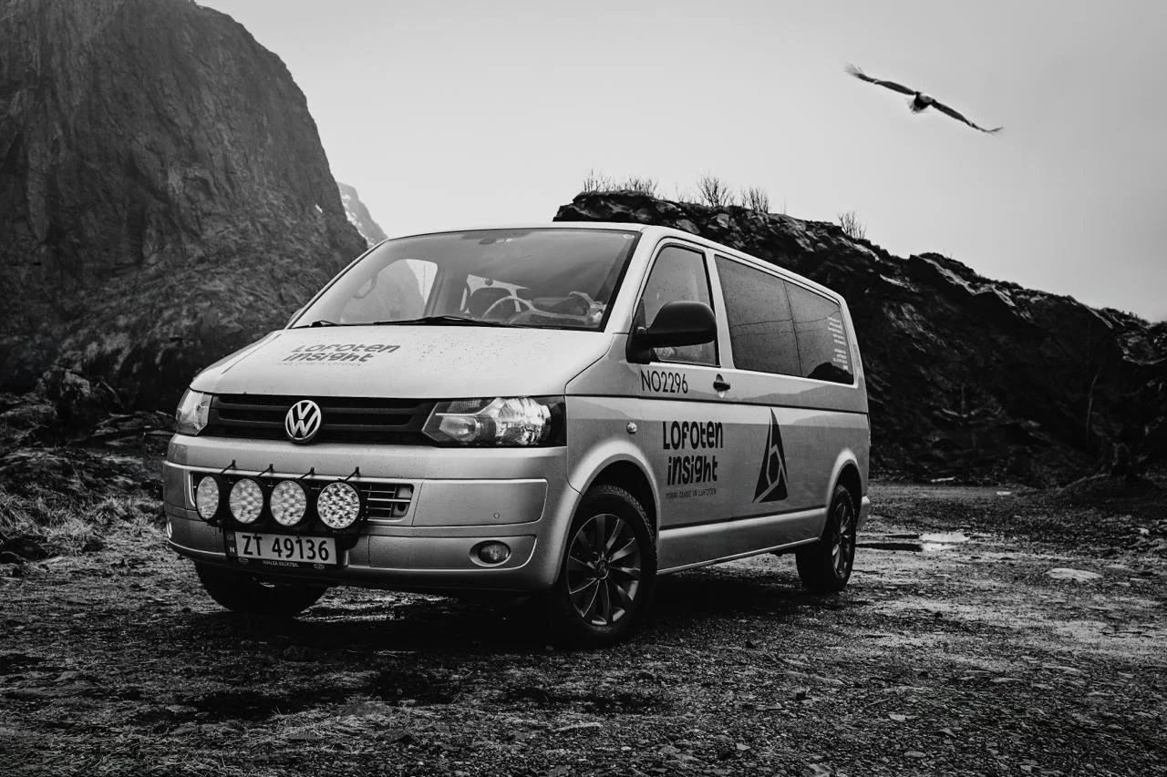 A van parked on a dirt road with a mountainous landscape and a bird flying overhead