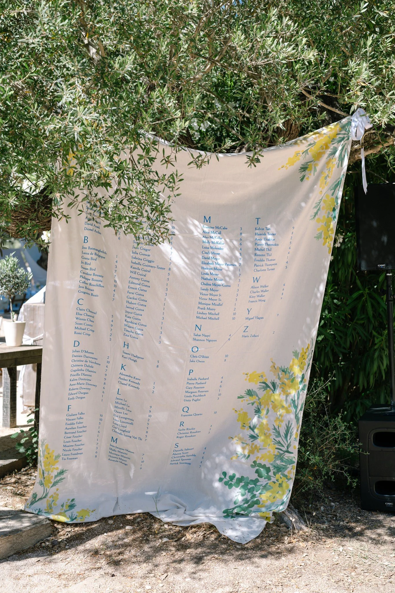 A large fabric wedding table plan with a floral design, displaying a list of names arranged alphabetically, attached to tree branches with white ribbons.