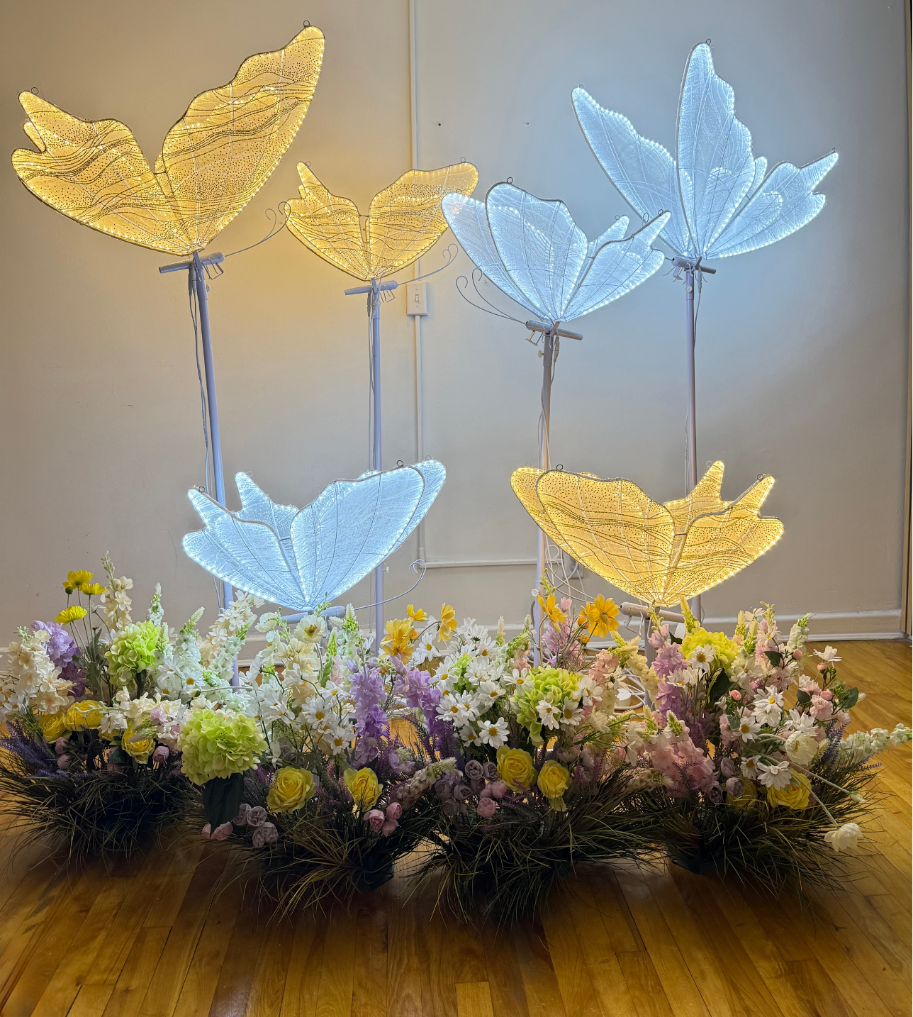 Giny’s Butterflies Paradise