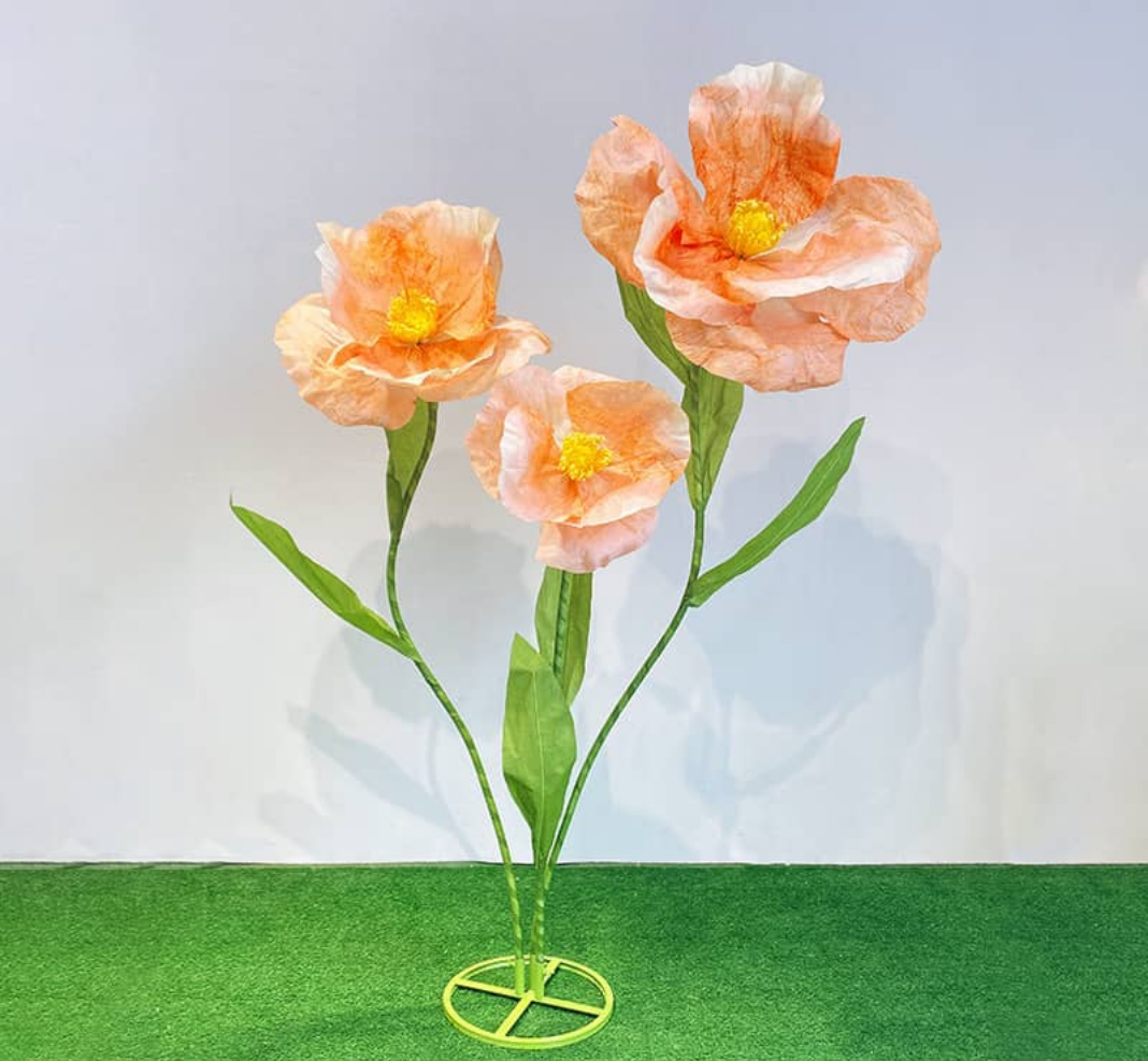 Yorki's Poppy