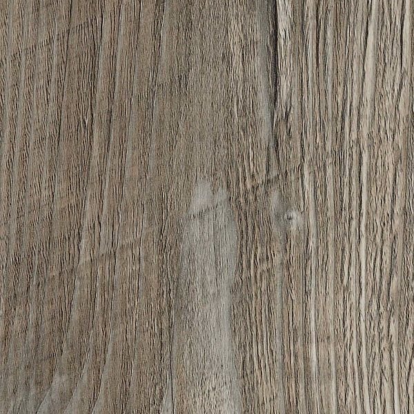 Ponderosa Pine 38mm