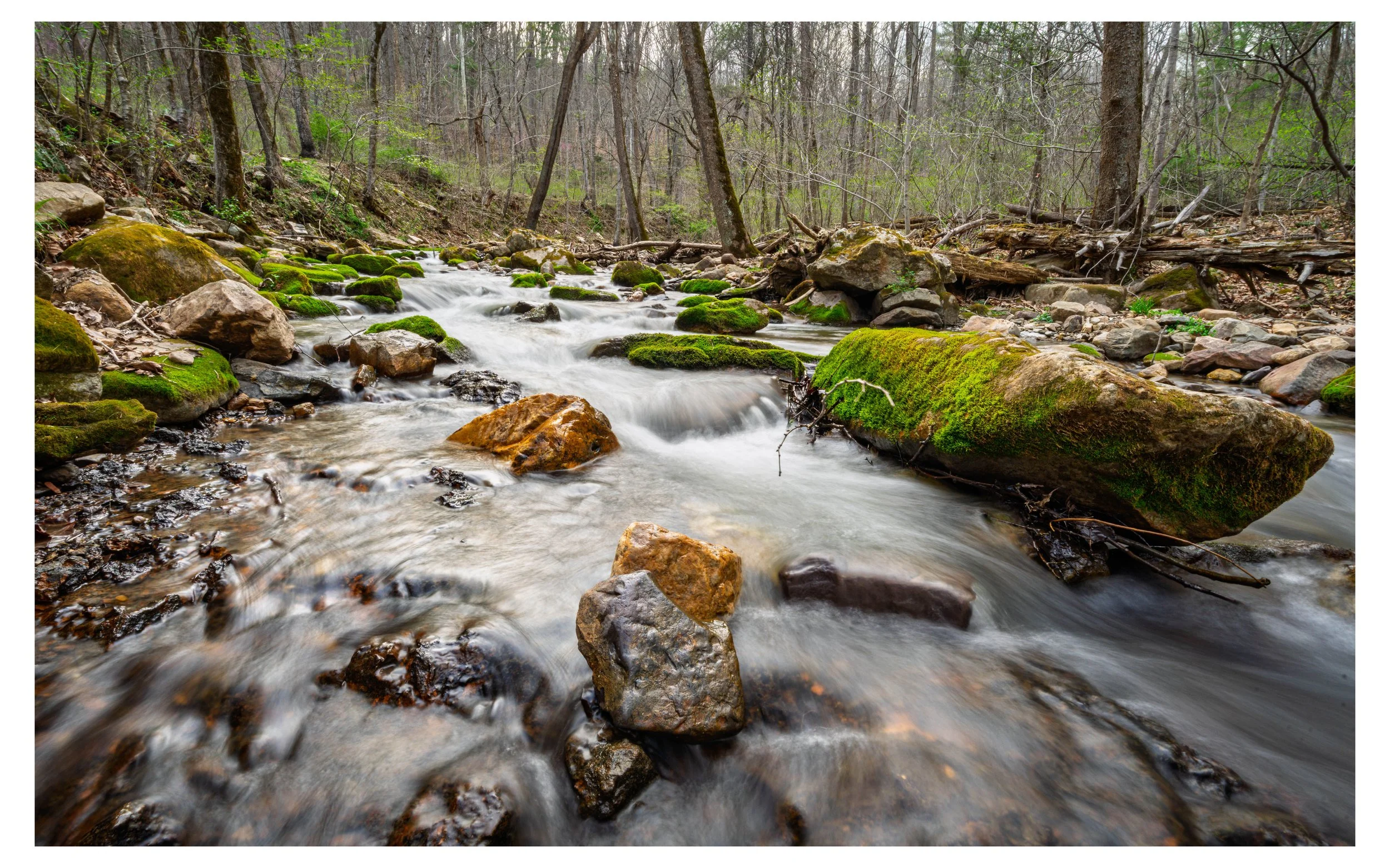 Roaring Run Creek in Botetourt County, Virginia, with moss-covered rocks flowing through leafless trees in early spring.