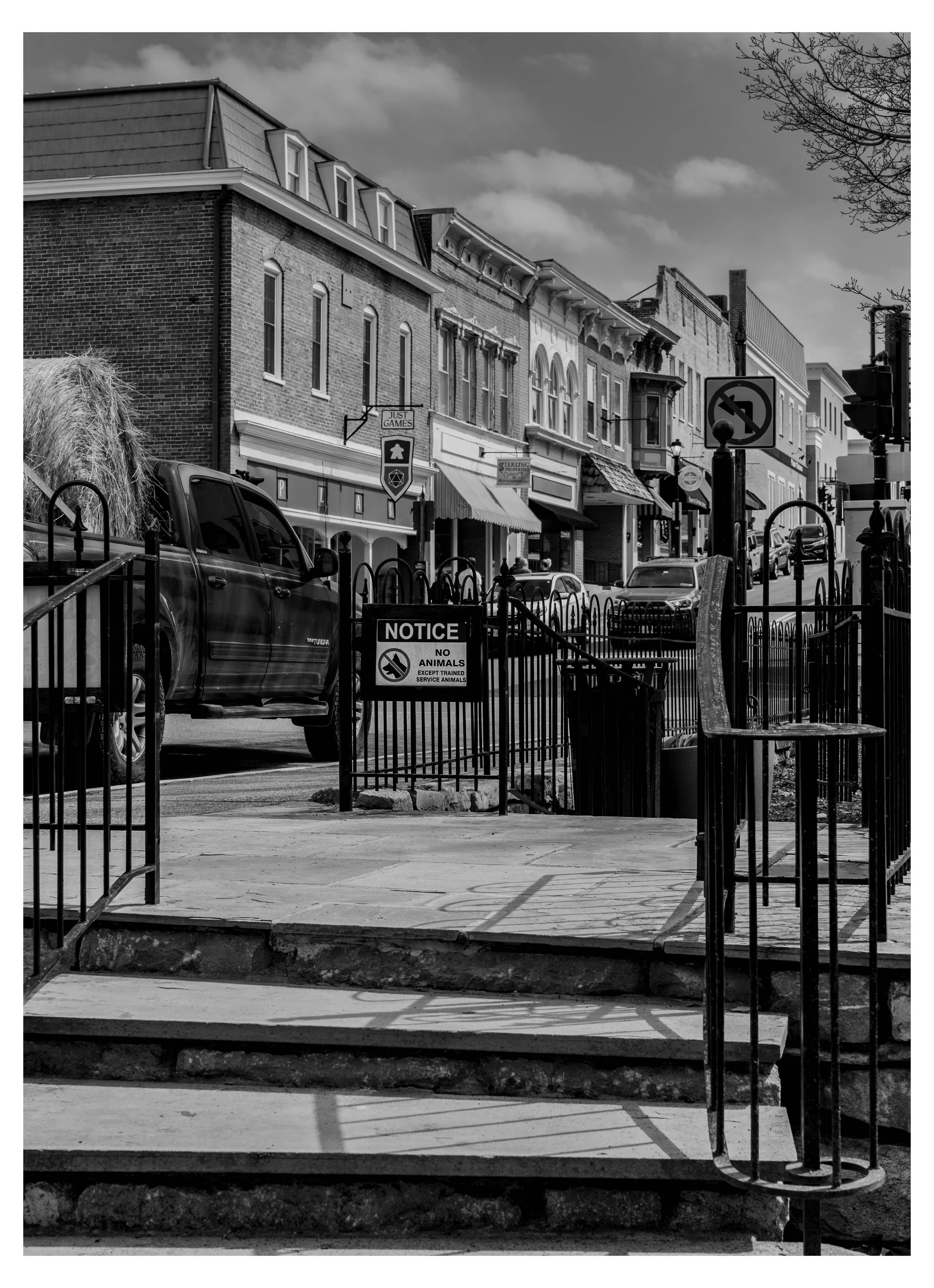 Black and white photo of a city street in Lexington, Virginia with buildings, parked cars, and signs, including a no animals sign, with a staircase leading to a sidewalk in the foreground.