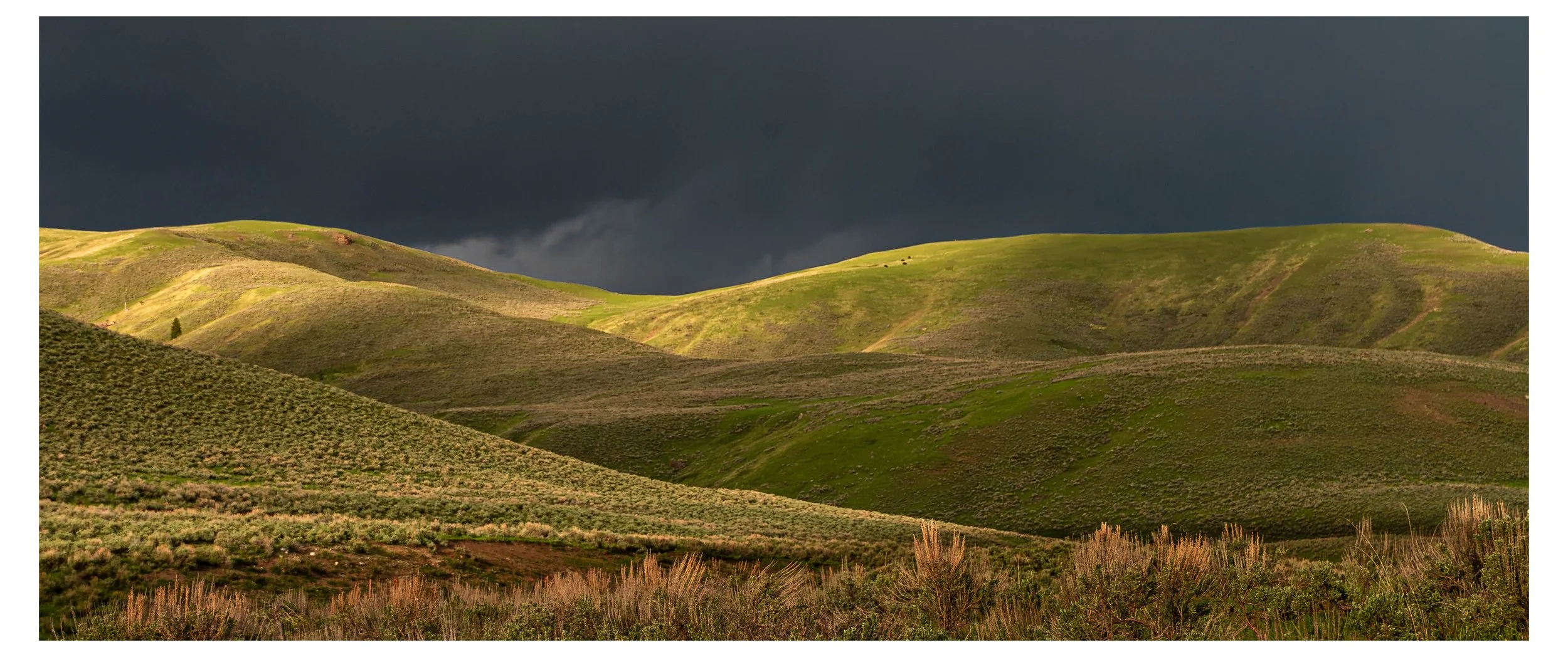 The rolling green hills of the Lamar Valley at Yellowstone National Park, with dark storm clouds overhead.