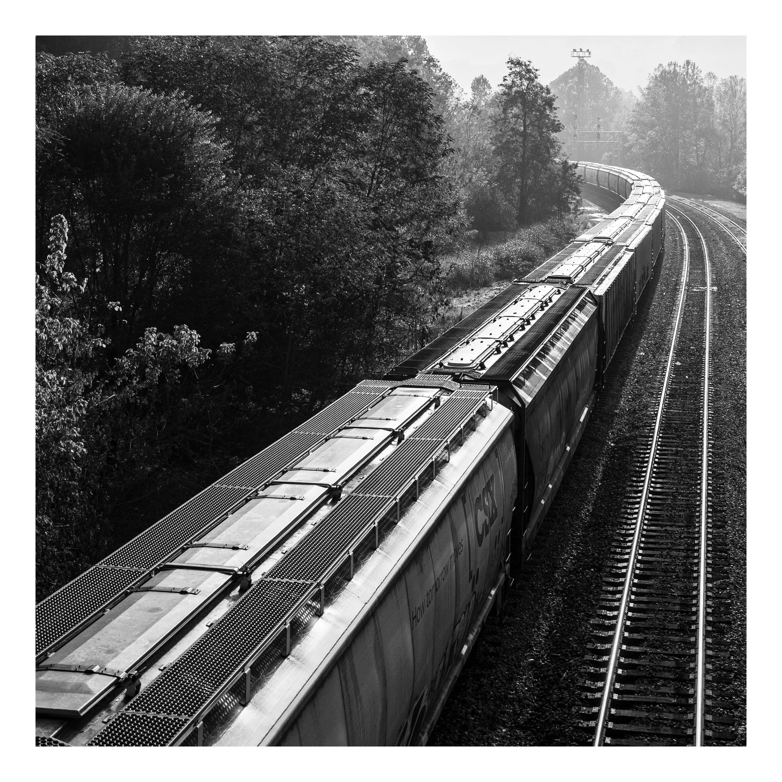 Black and white photo of a freight train traveling on curved tracks through a wooded area at Clifton Forge, Virginia.
