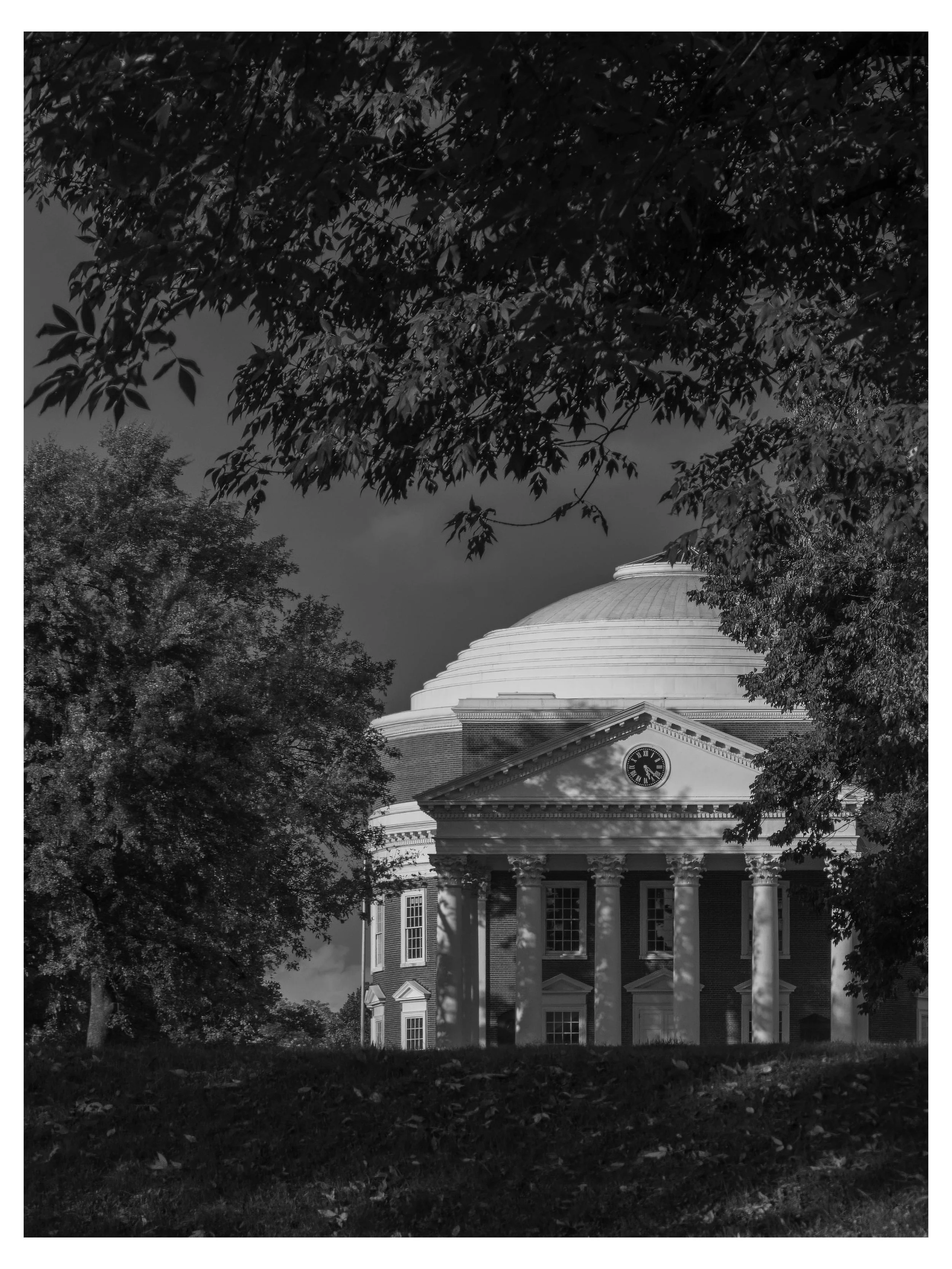 The Rotunda at the University of Virginia surrounded by trees, under a dark sky.