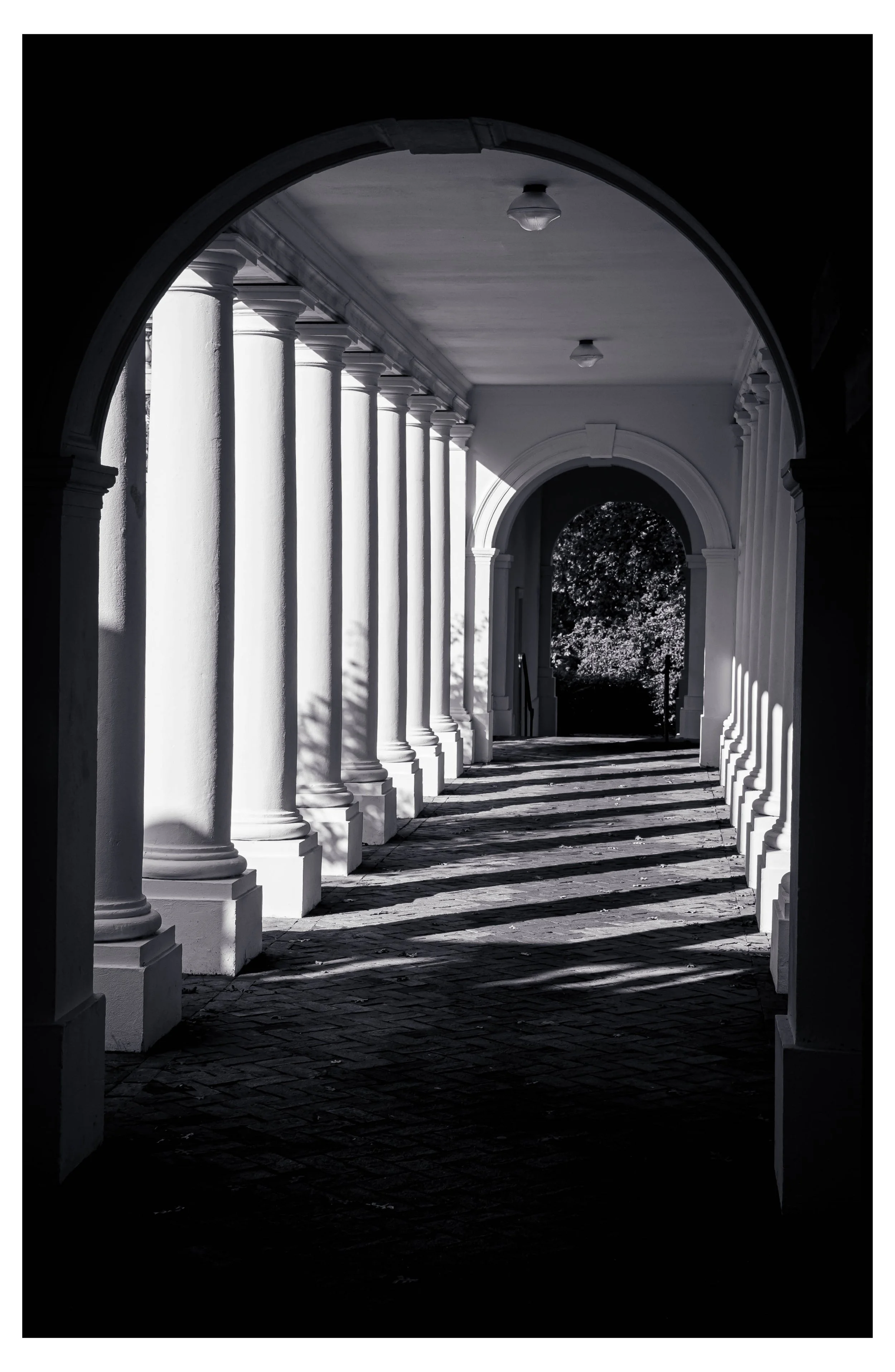 Black and white photograph of the colonnade adjacent to the University of Virginia's Rotunda with tall, white columns and an archway at the end, casting shadows on the cobblestone ground.