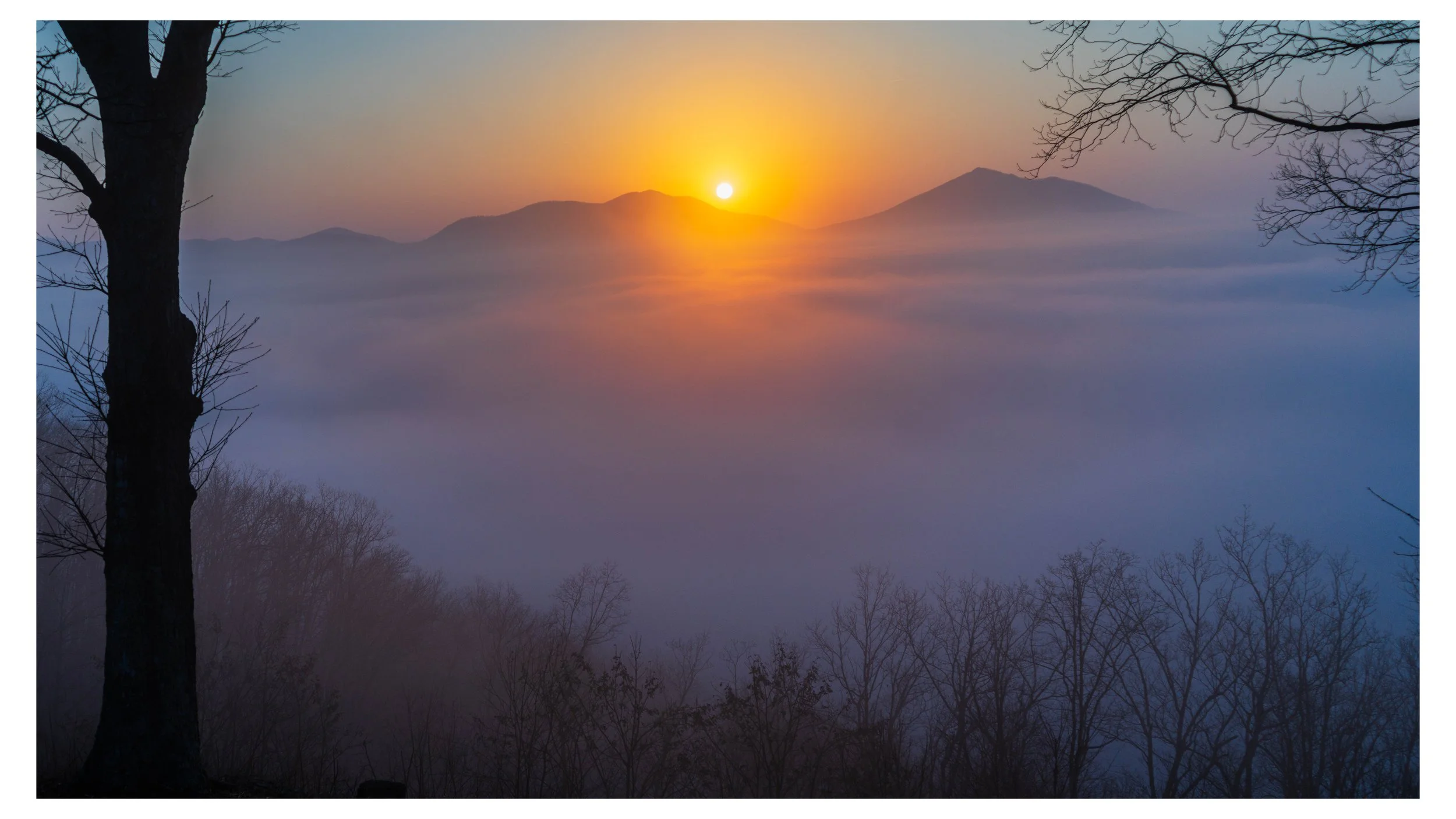 Sunrise over the Peaks of Otter with fog below, bare trees in the foreground during late winter along the Blue Ridge Parkway.
