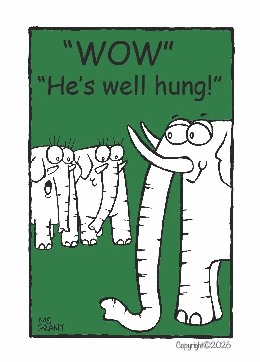 Well Hung Elephant!