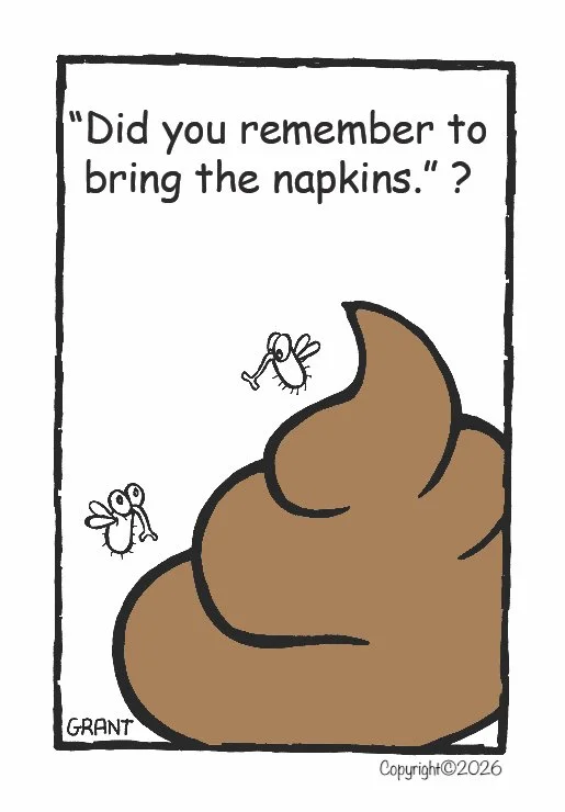 Flies & Napkins