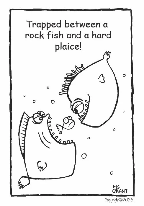 Rock & Hard Plaice