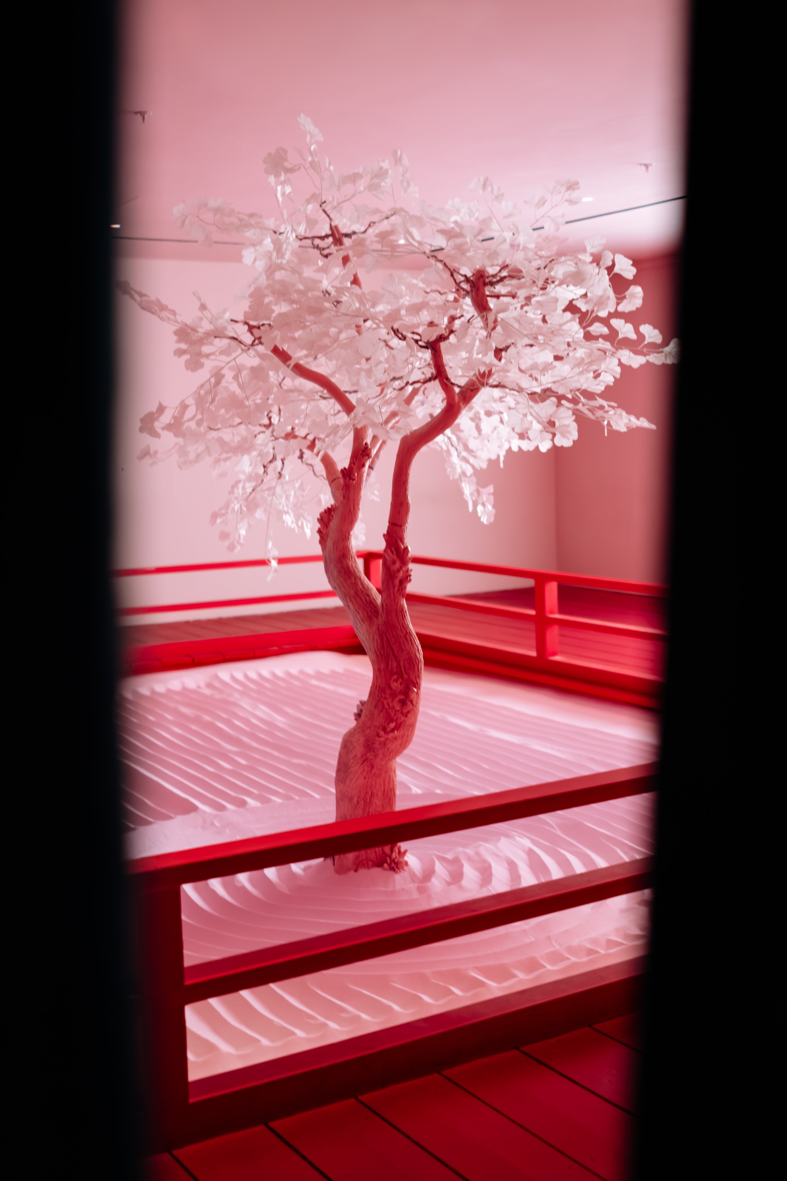 A decorative tree with light-colored leaves displayed indoors, surrounded by red railing and lit with pink lighting.
