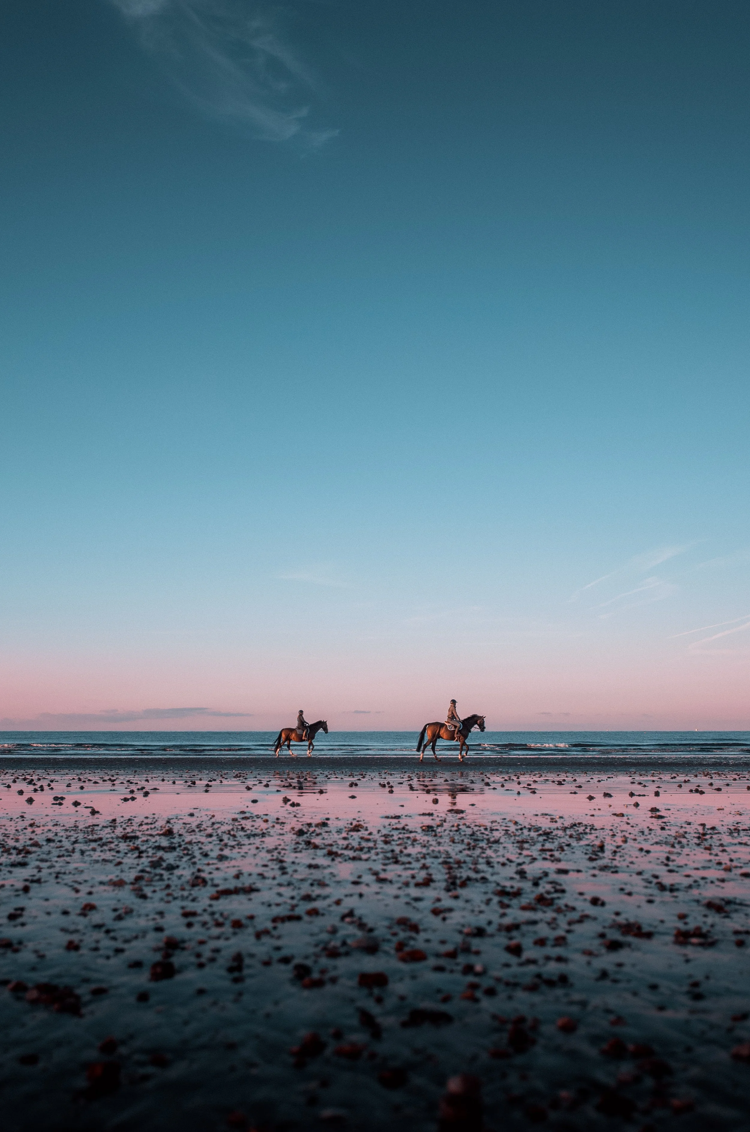 DawnBeachHorses.jpg