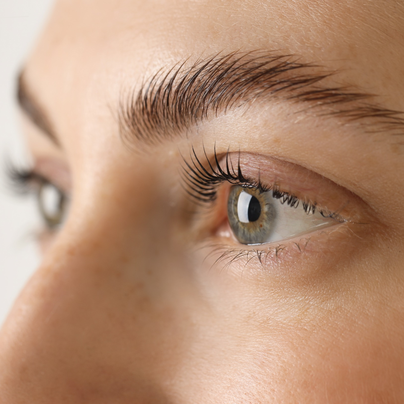 Close-up of beautifully lifted and curled natural eyelashes, showcasing lash lift and tint results at Gloss'd Skin Studio in White Plains, NY.