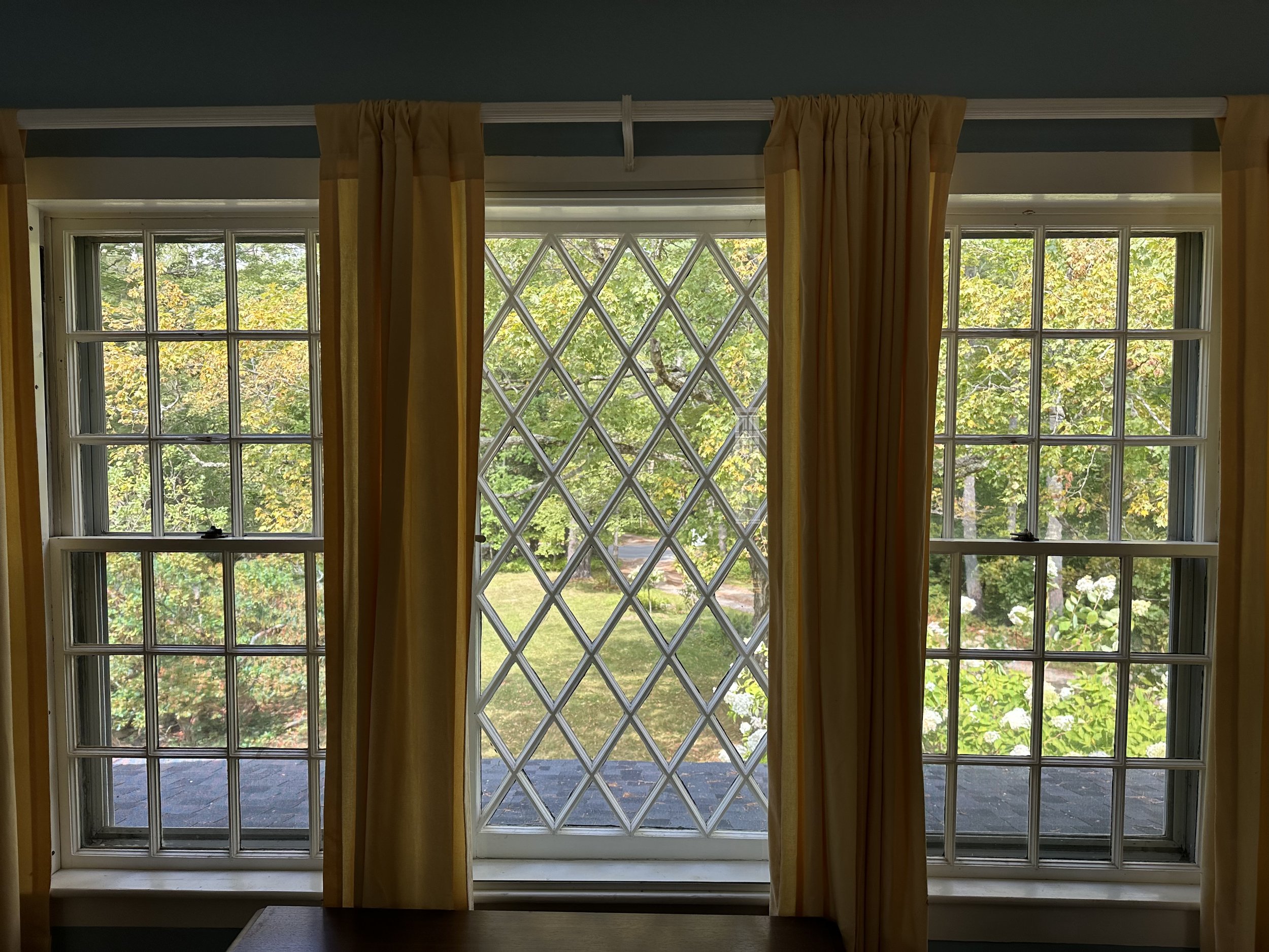 clean window with intricate panes showing a residential yard through clear glass