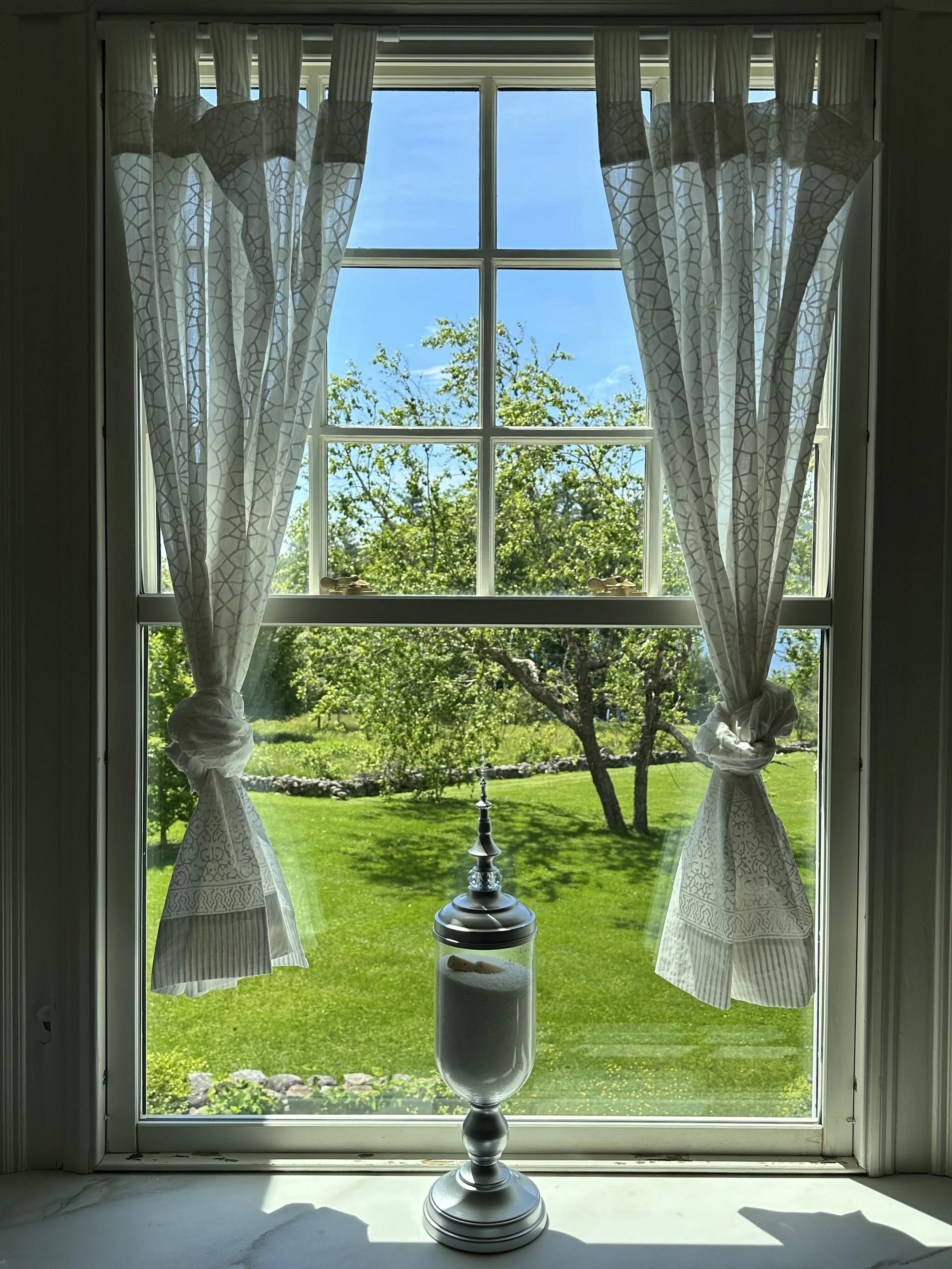 Crystal clear, clean window in residential home. Sunny, verdant landscape.