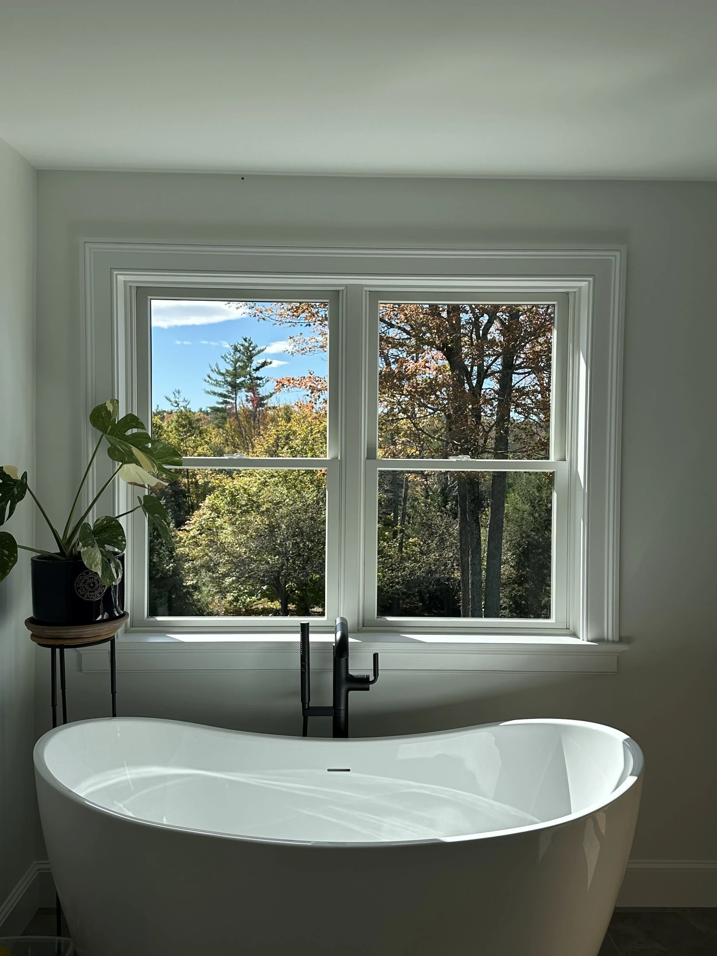 clean windows over a free standing bathtub showing a mountain landscape