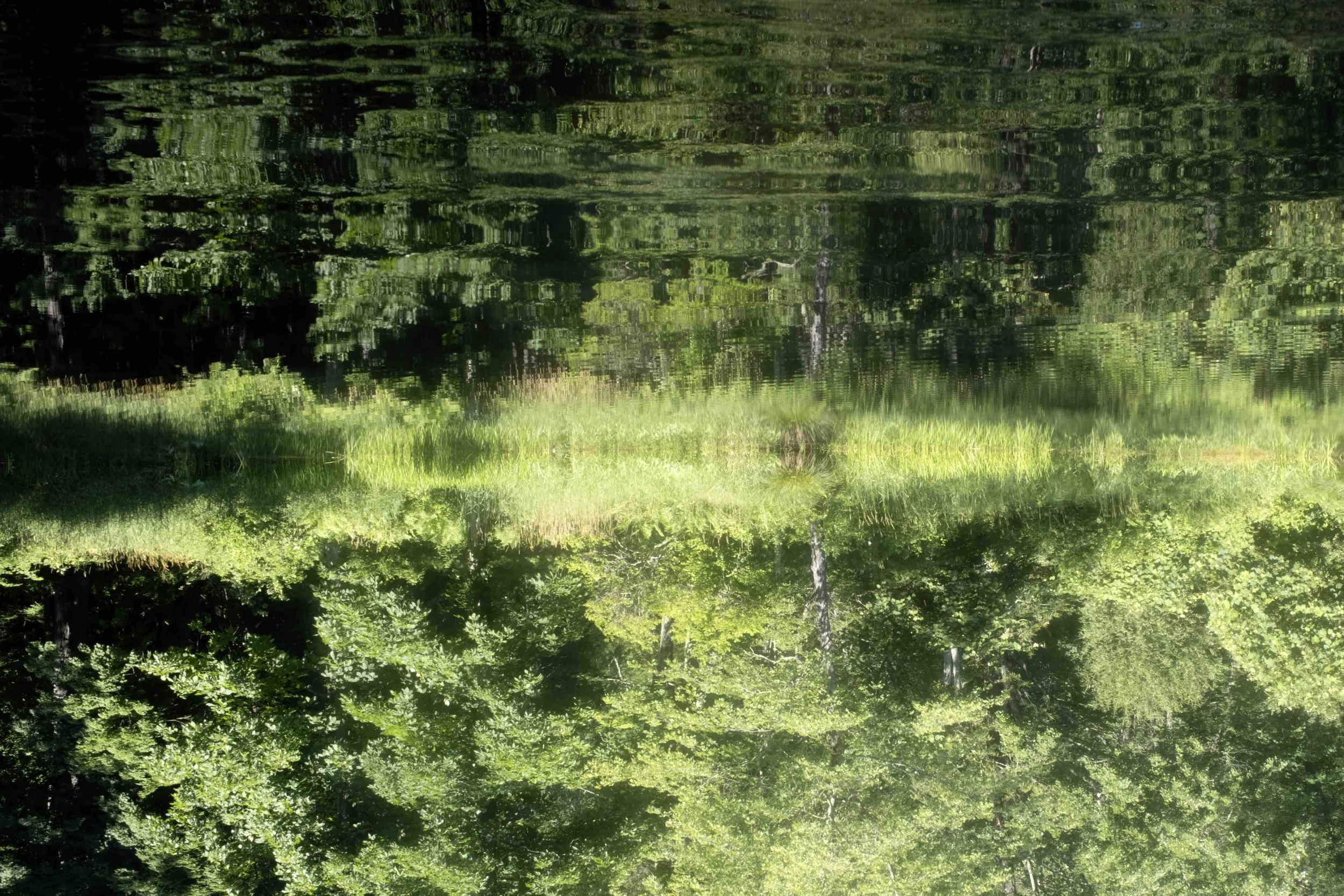 Rreflections II, 2026