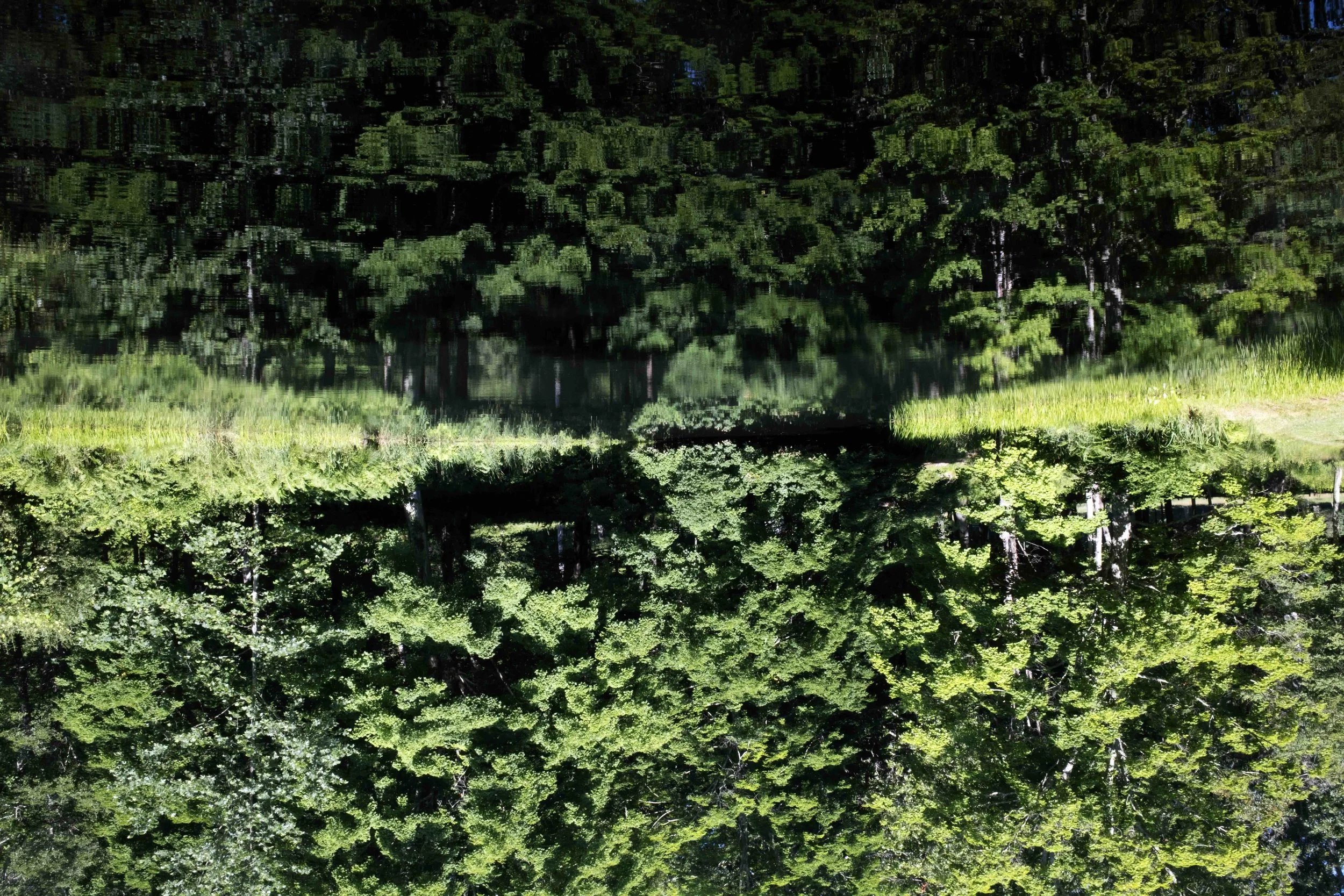 Reflections VIII, 2026