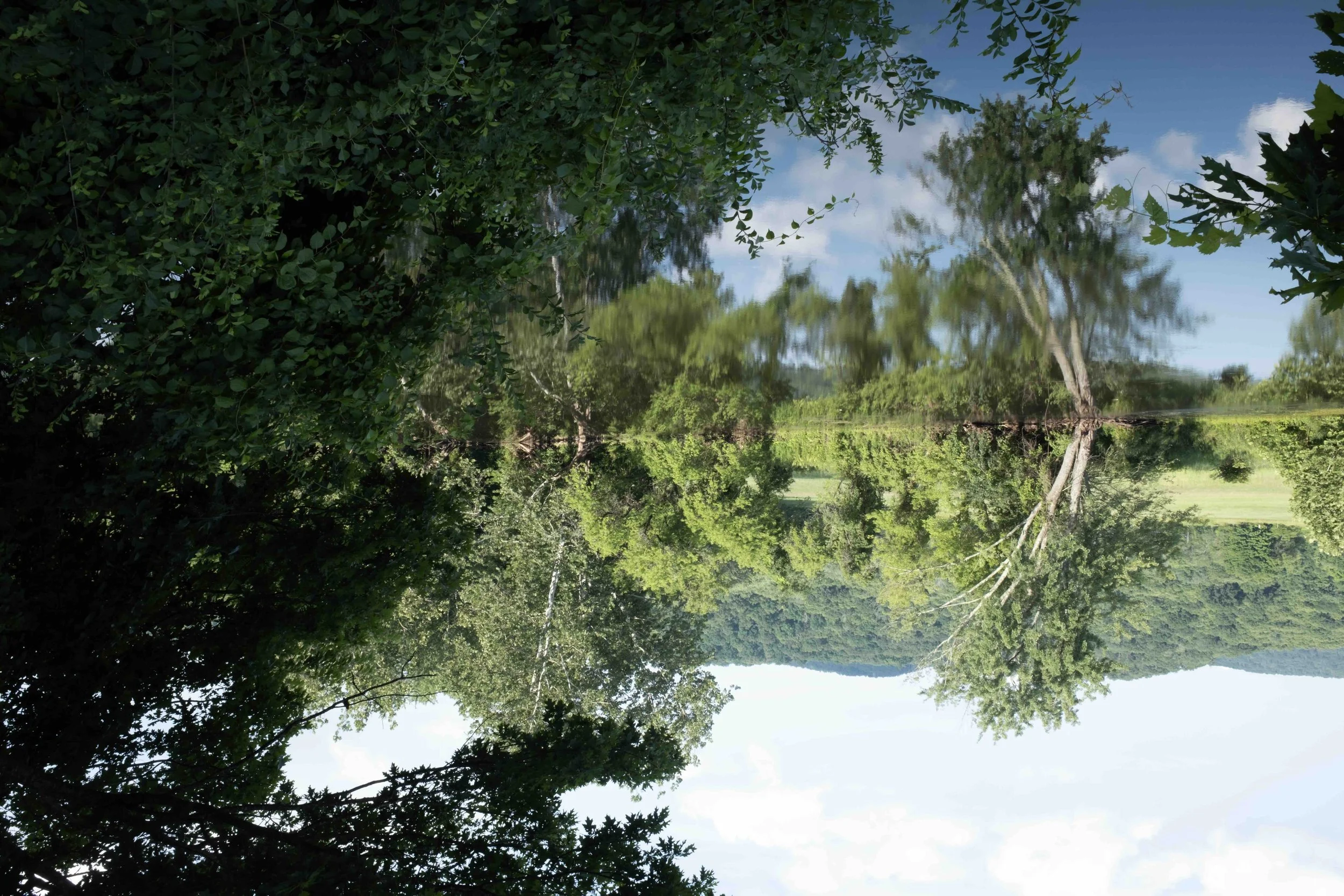 Reflections VII, 2026