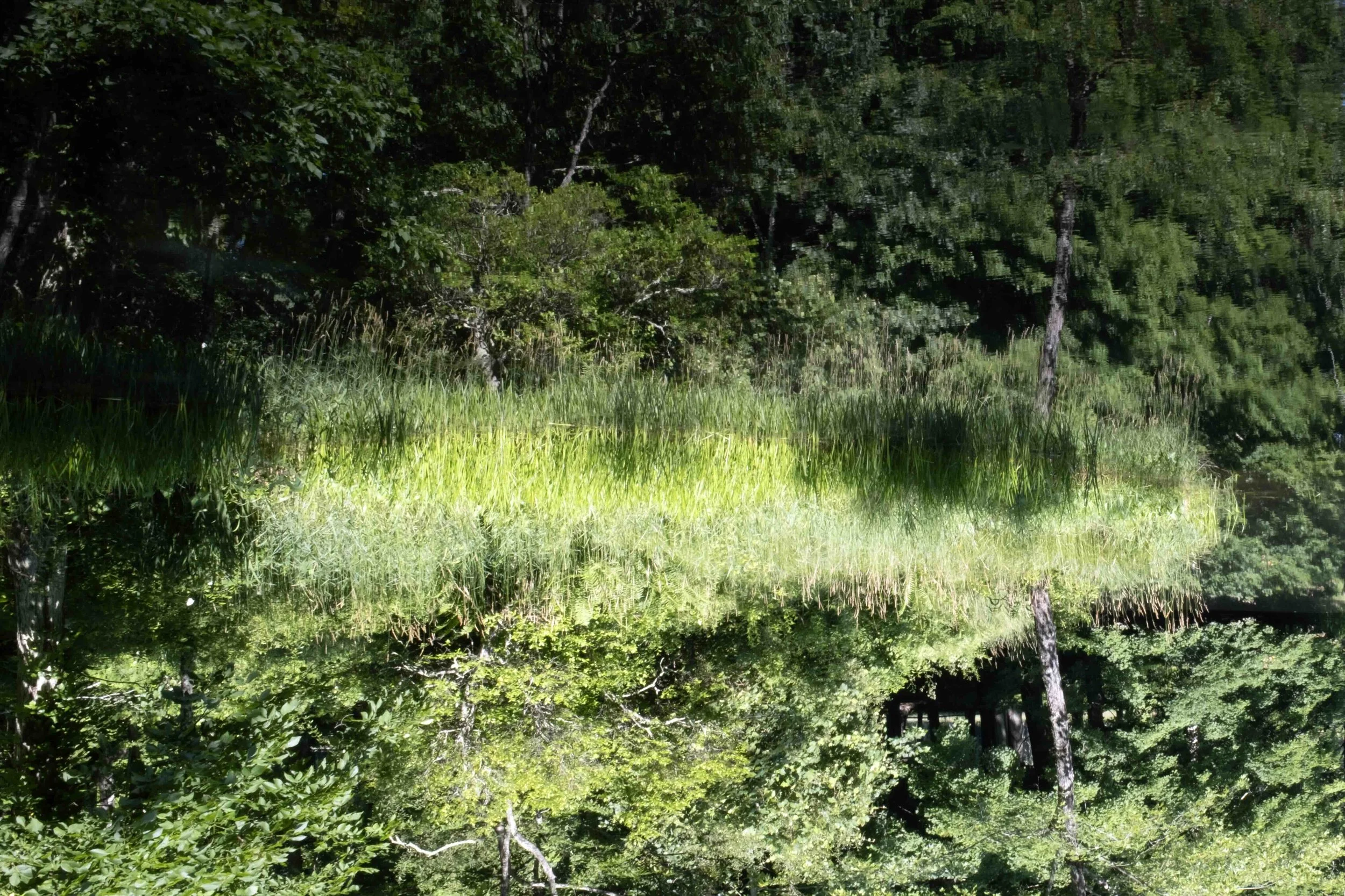 Reflections I, 2026