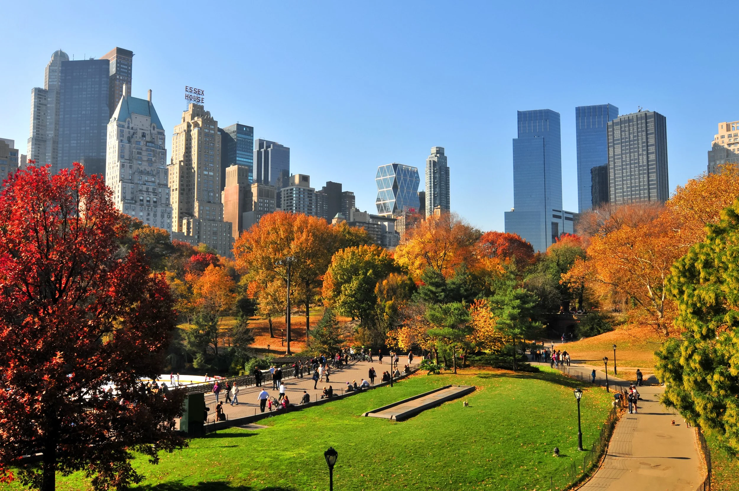 A city park with trees displaying fall colors, a walking path with people, and a skyline of tall buildings against a clear blue sky.