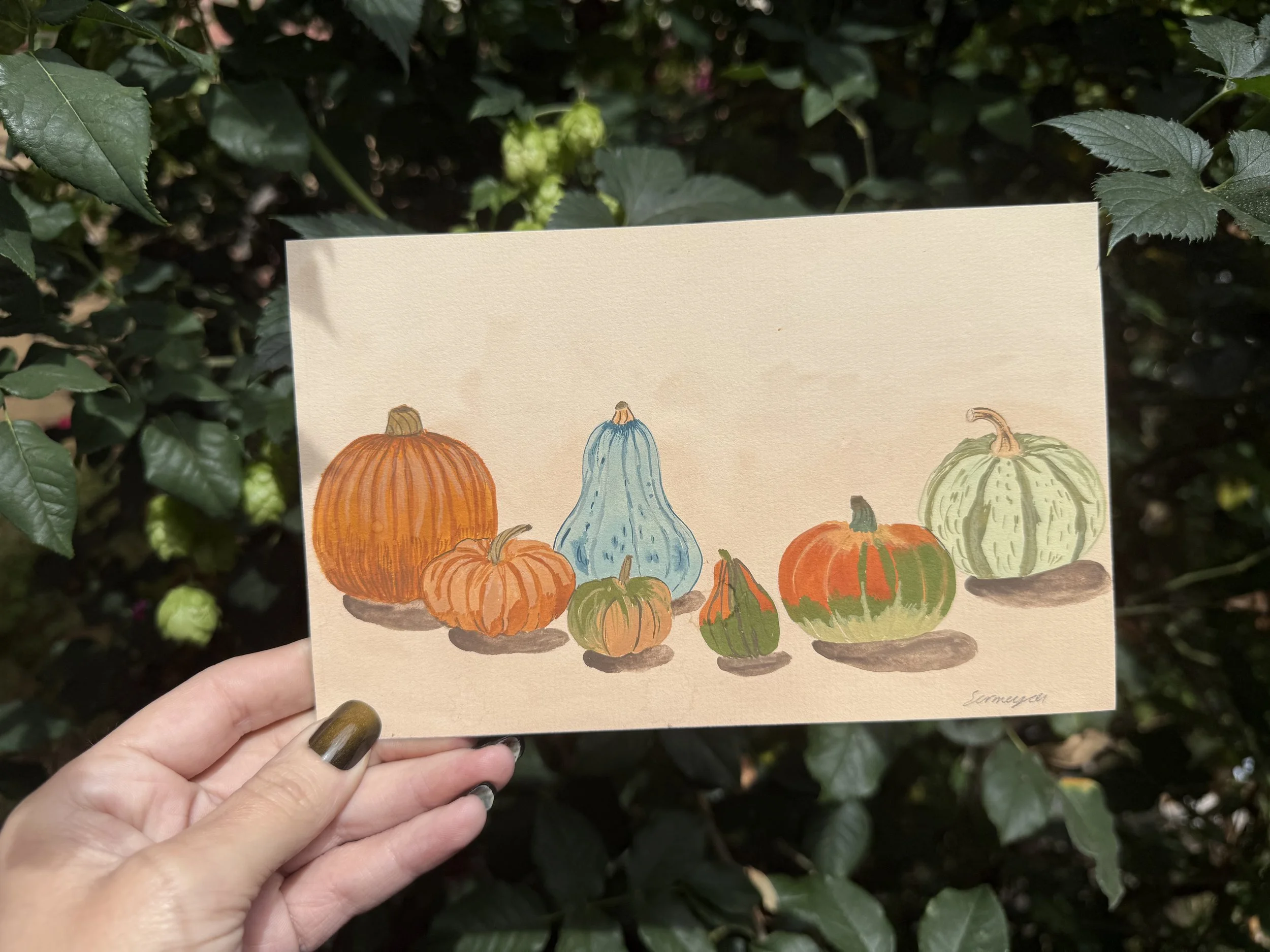 Print - Cluster of Gourds by Sermeyea Willis