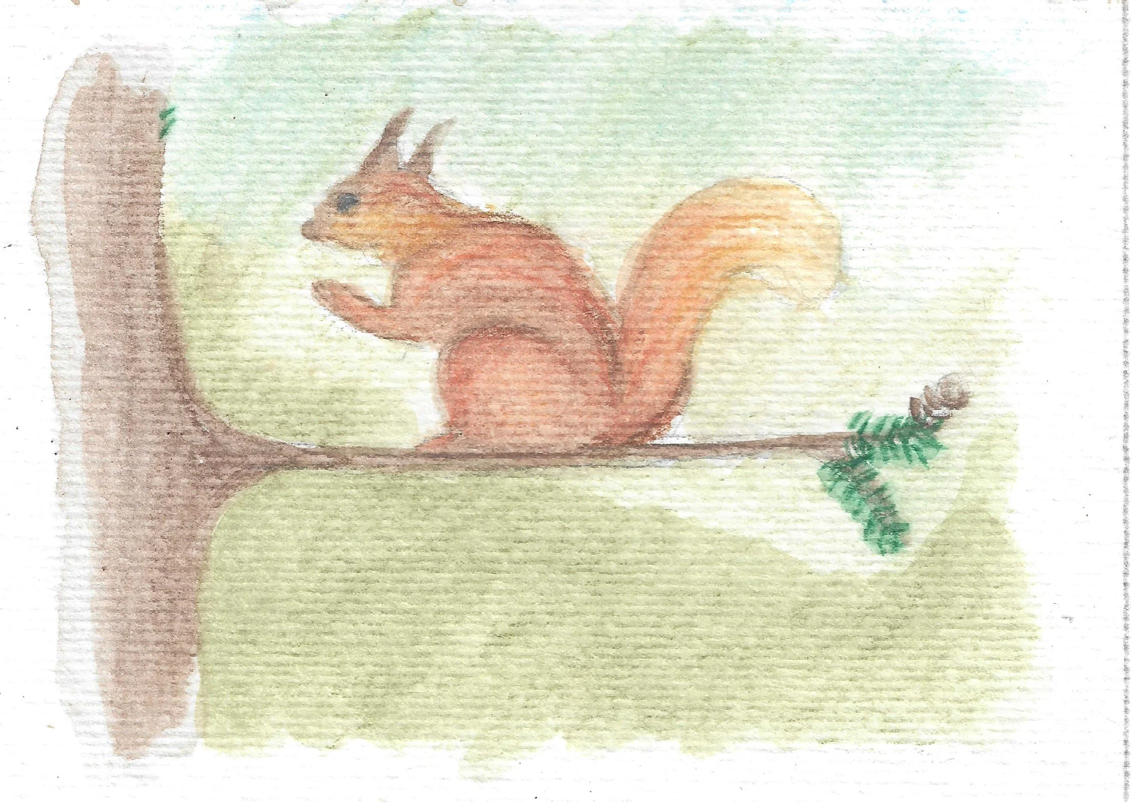 Forest Keeper Mail Club