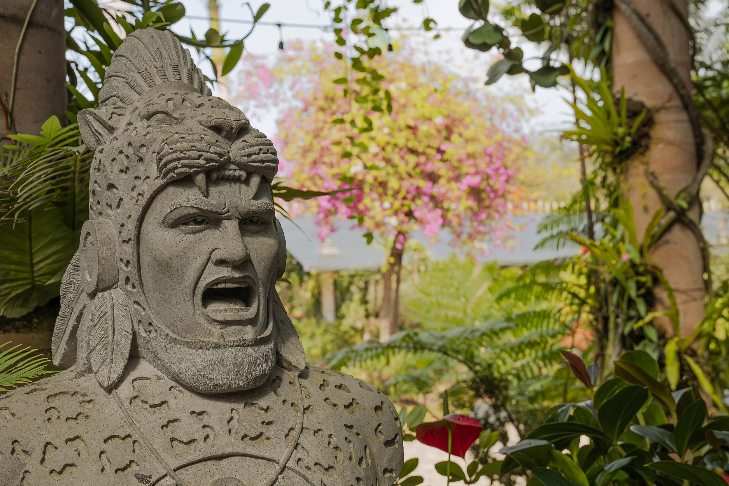 BotanicalGardenPV1-19.jpg